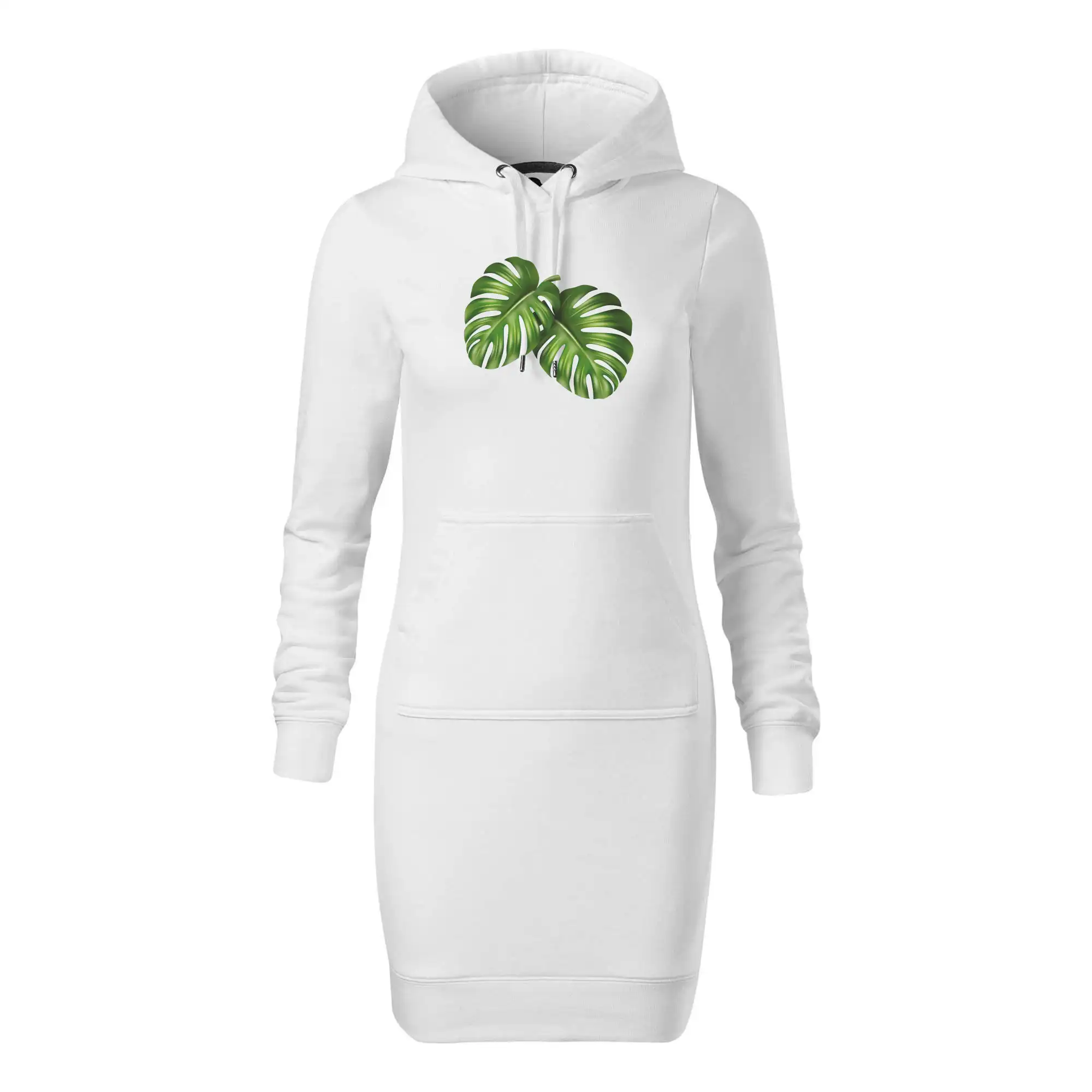 Monstera - dva listy