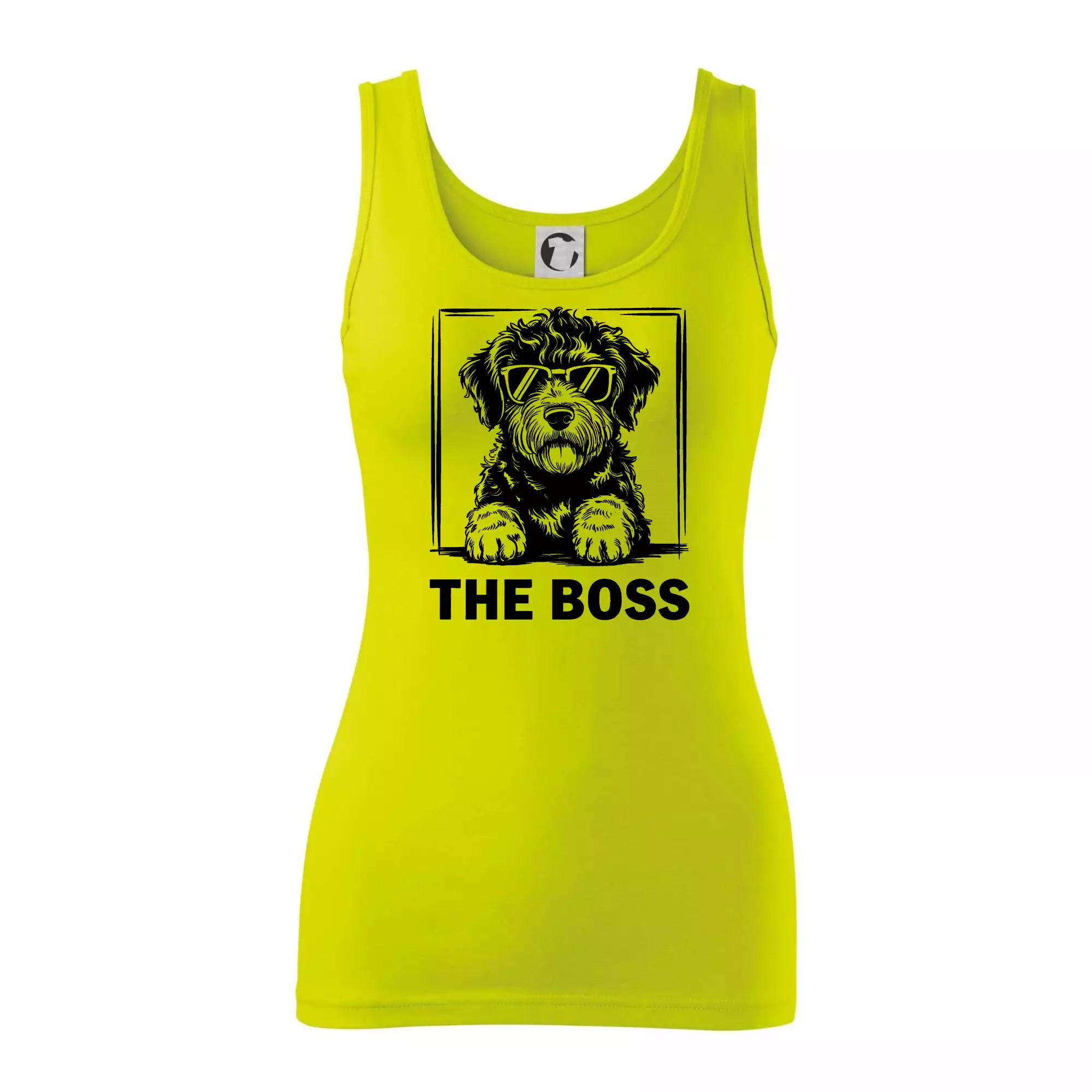 Lagotto romagnolo the boss