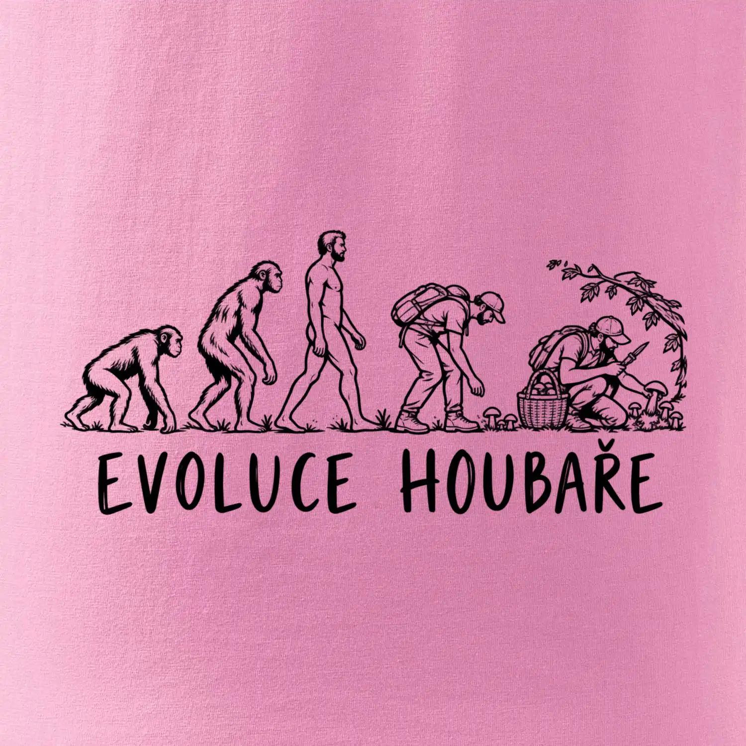 Evoluce houbaře
