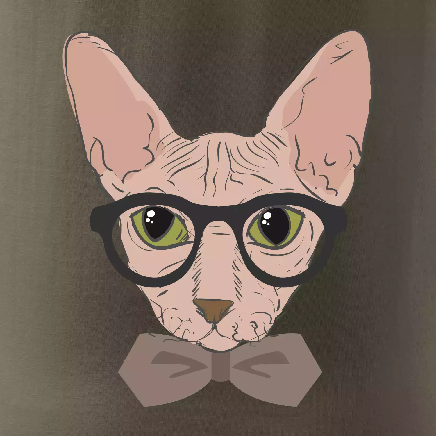 Hipster sphynx