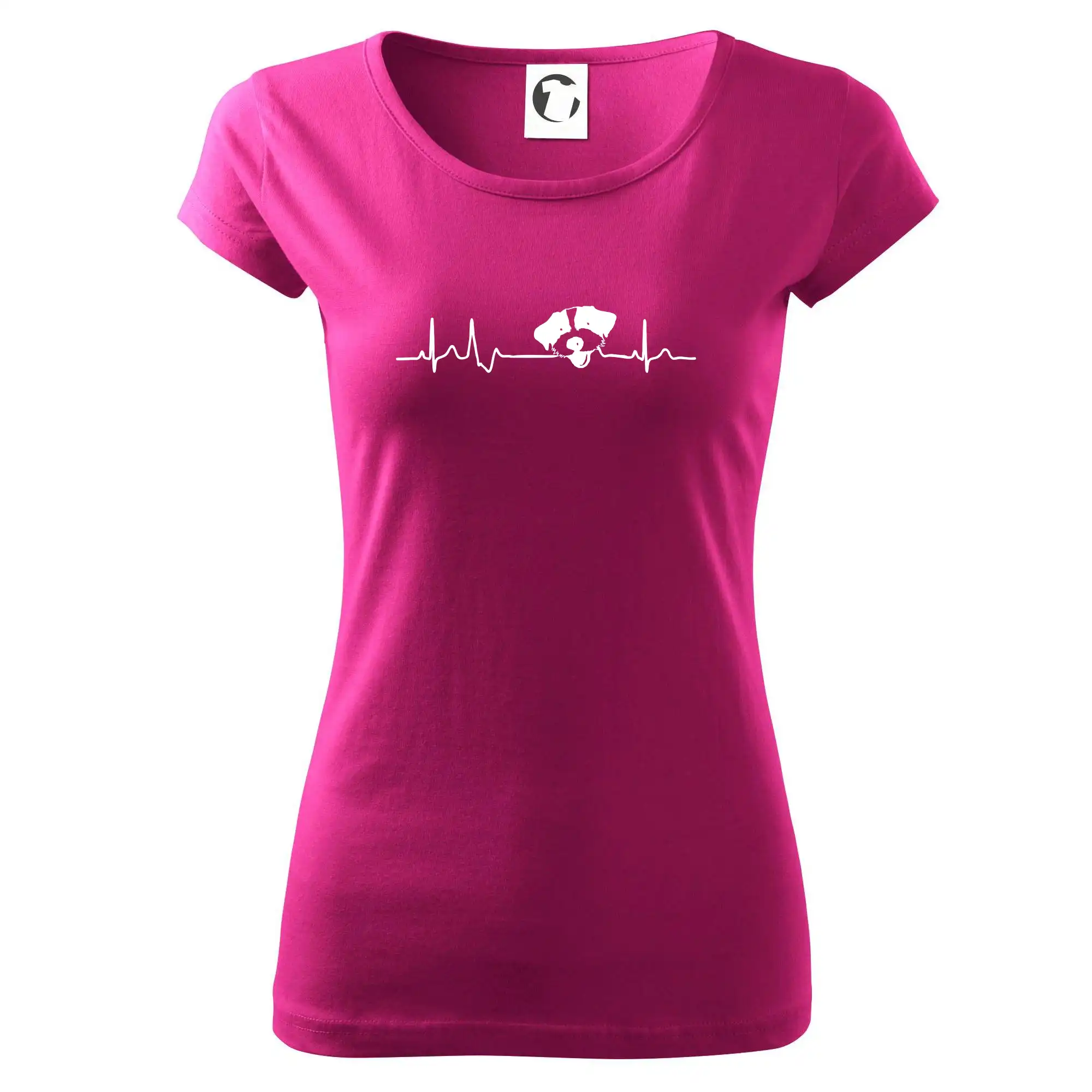 Jack Russell Terriér hrubosrstý Ekg