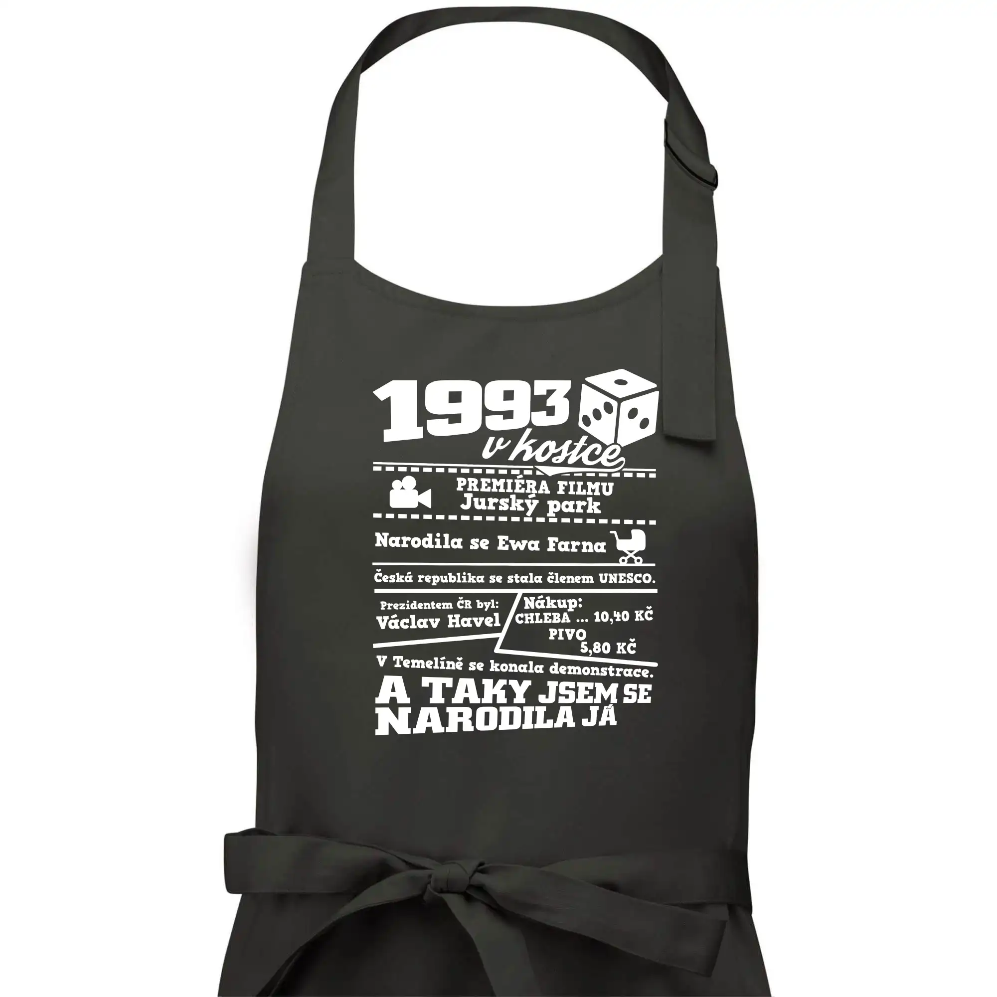 1993 v kostce