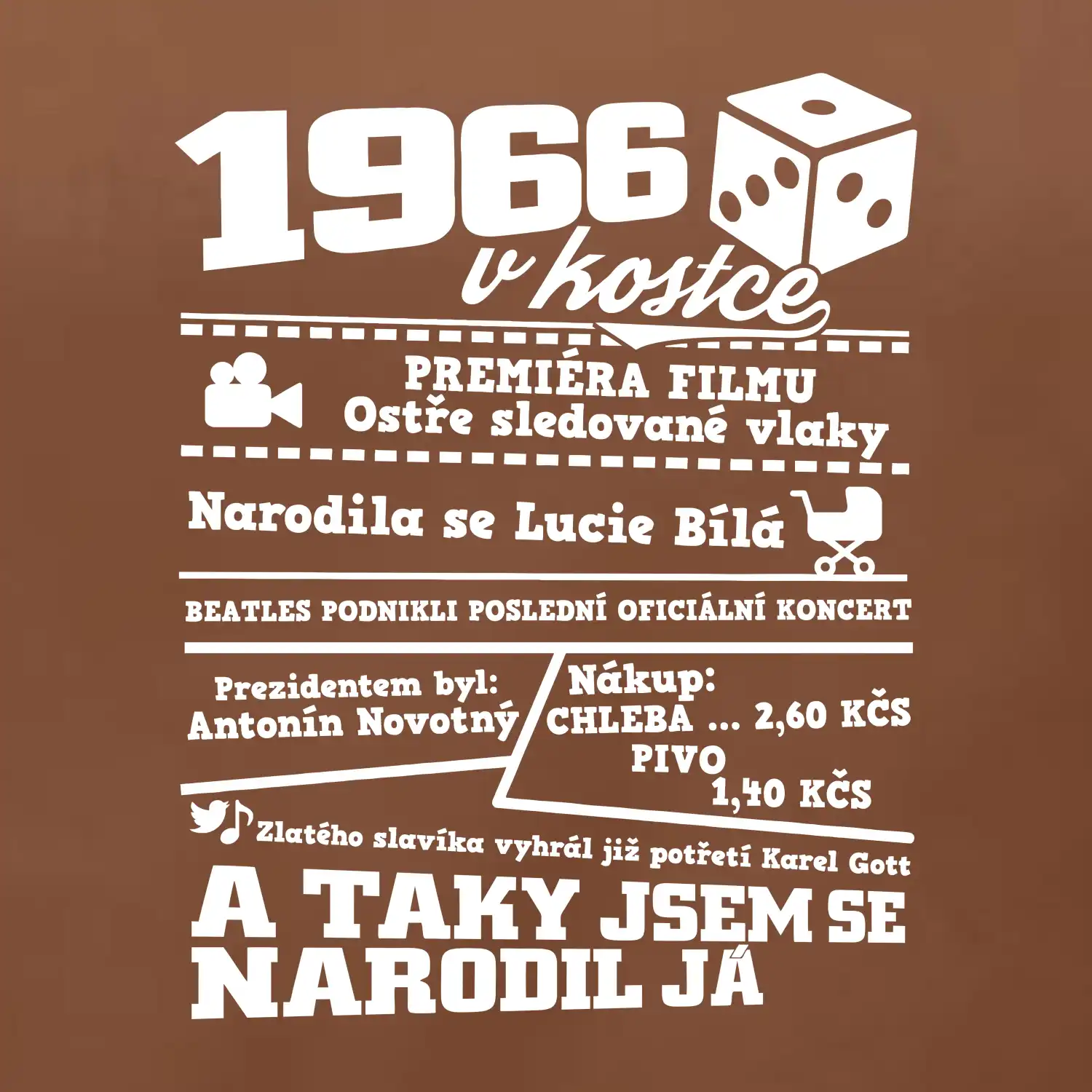 1966 v kostce