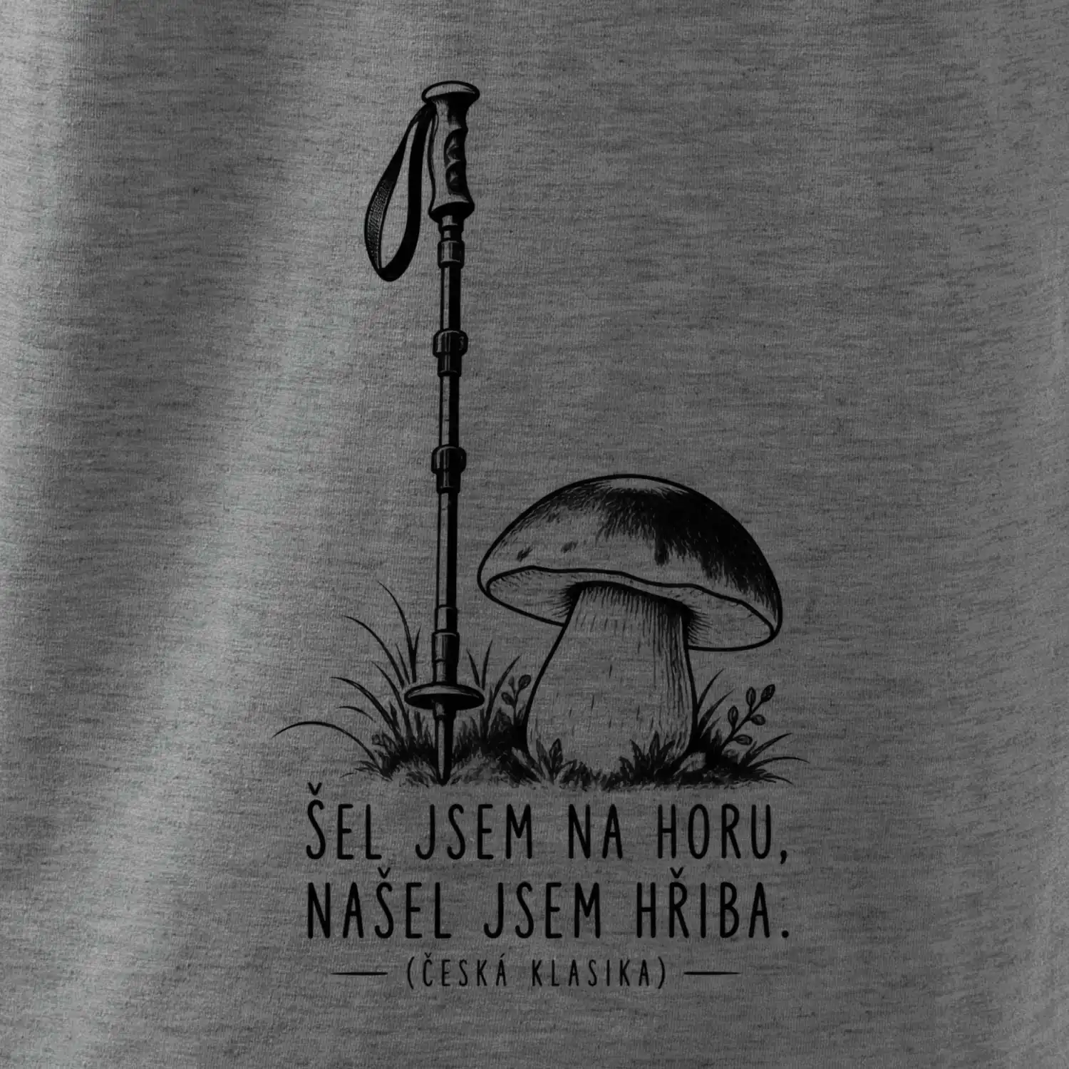 Šel jsem na horu našel jsem hřiba česká klasika