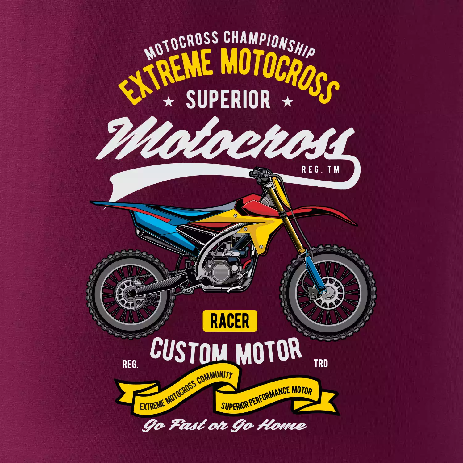 Motocross extreme custom motor