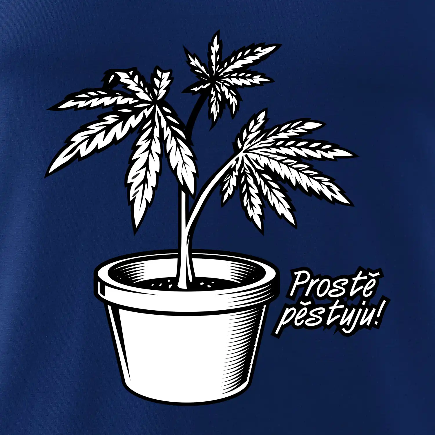 Konopi prostě pěstuju