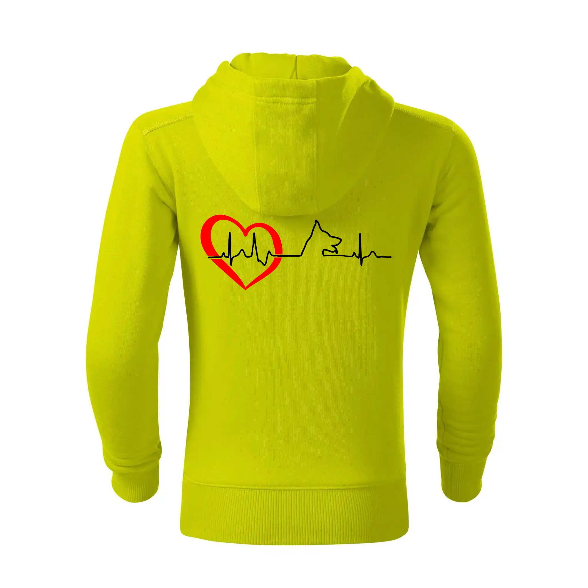 Německý ovčák ekg