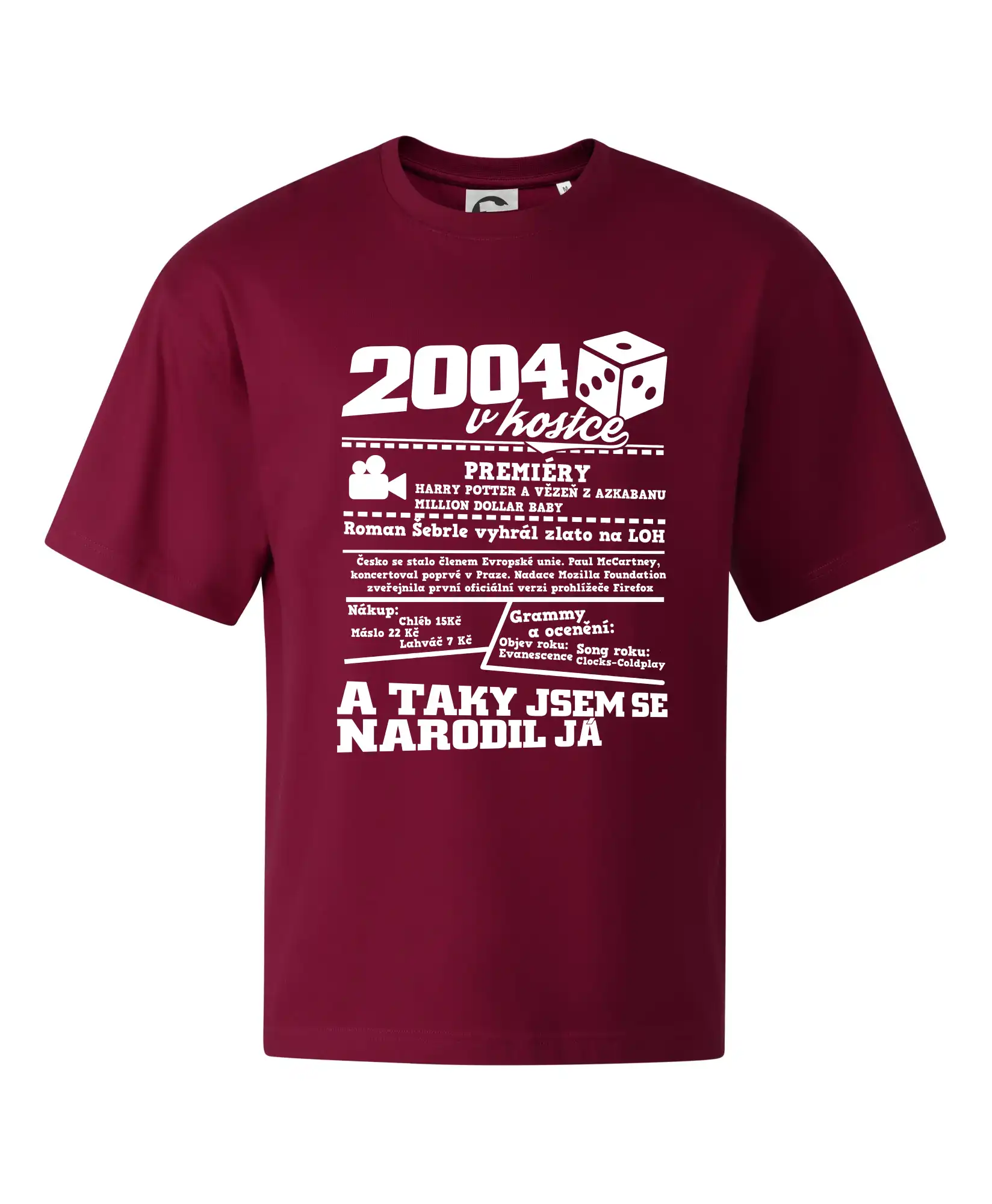 2004 v kostce
