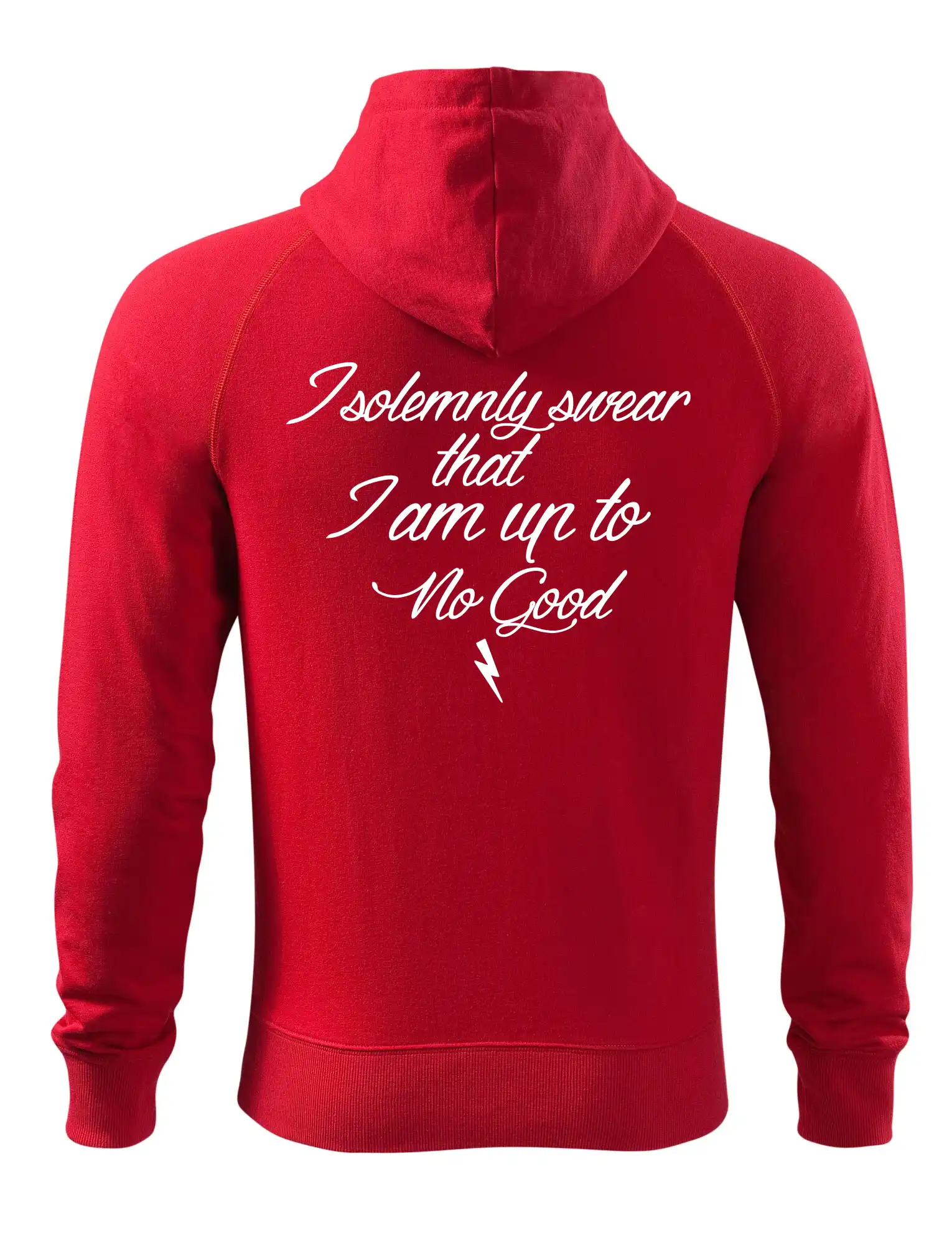I solemnly swear that I'm up to no good