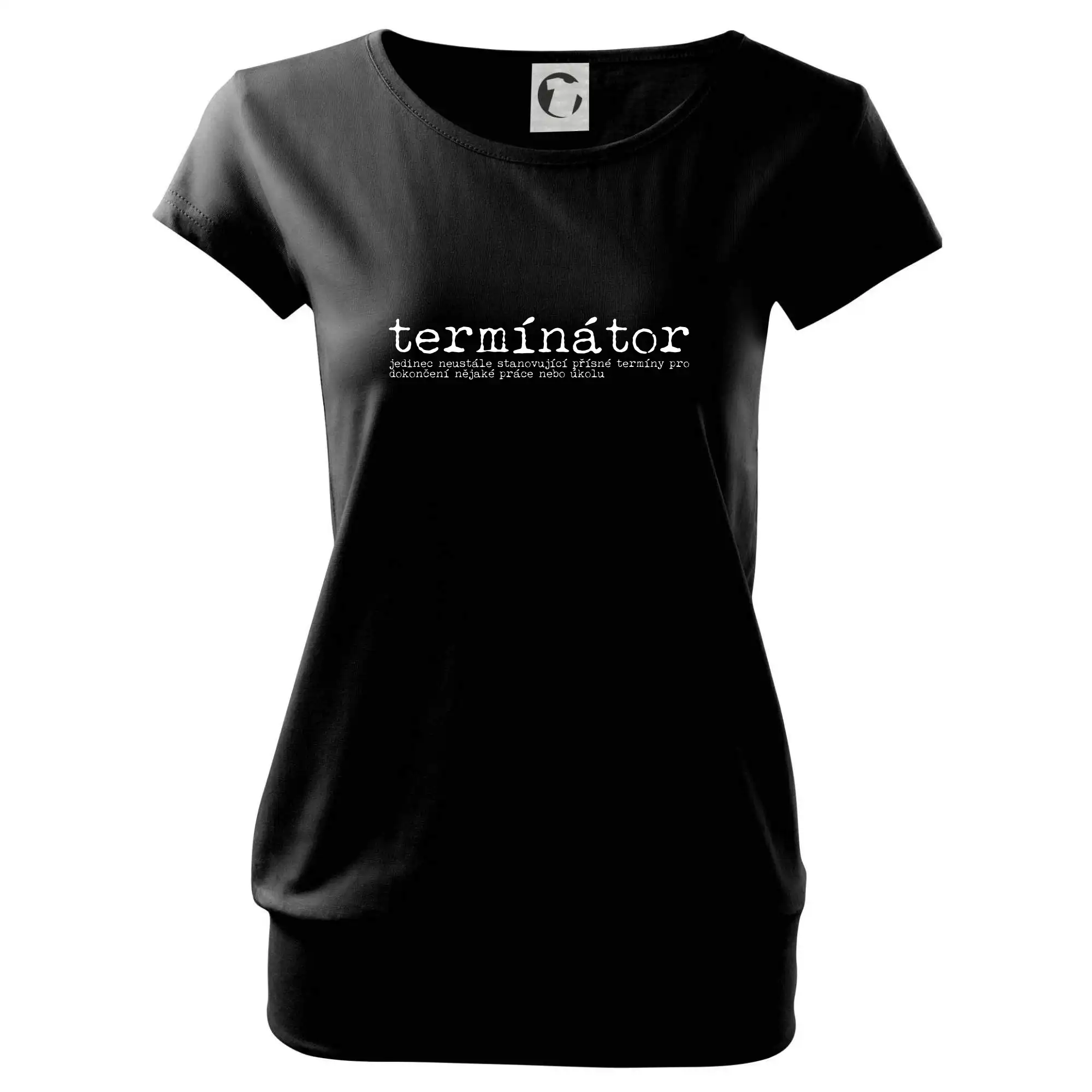 Čeština 2.0 - termínátor