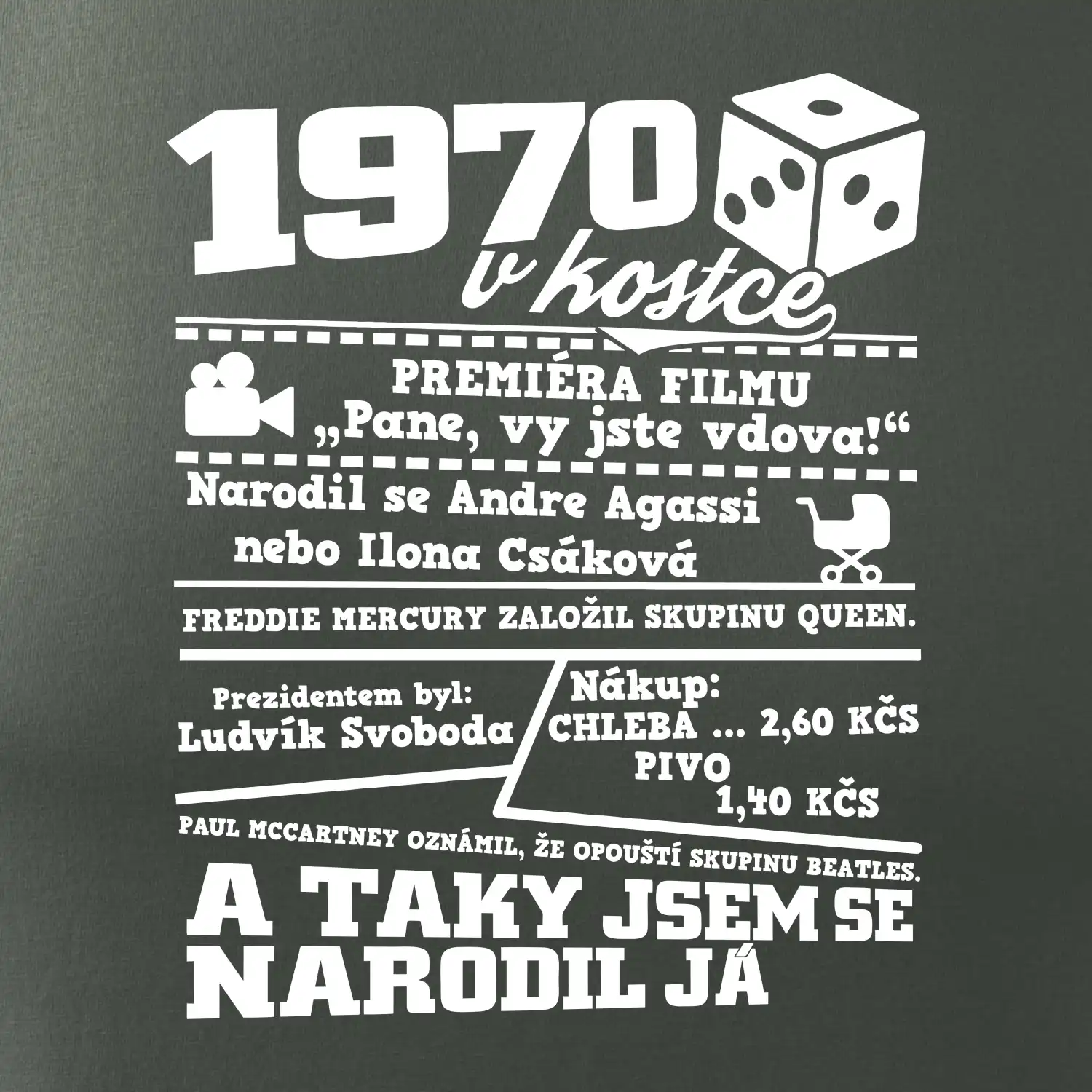 1970 v kostce