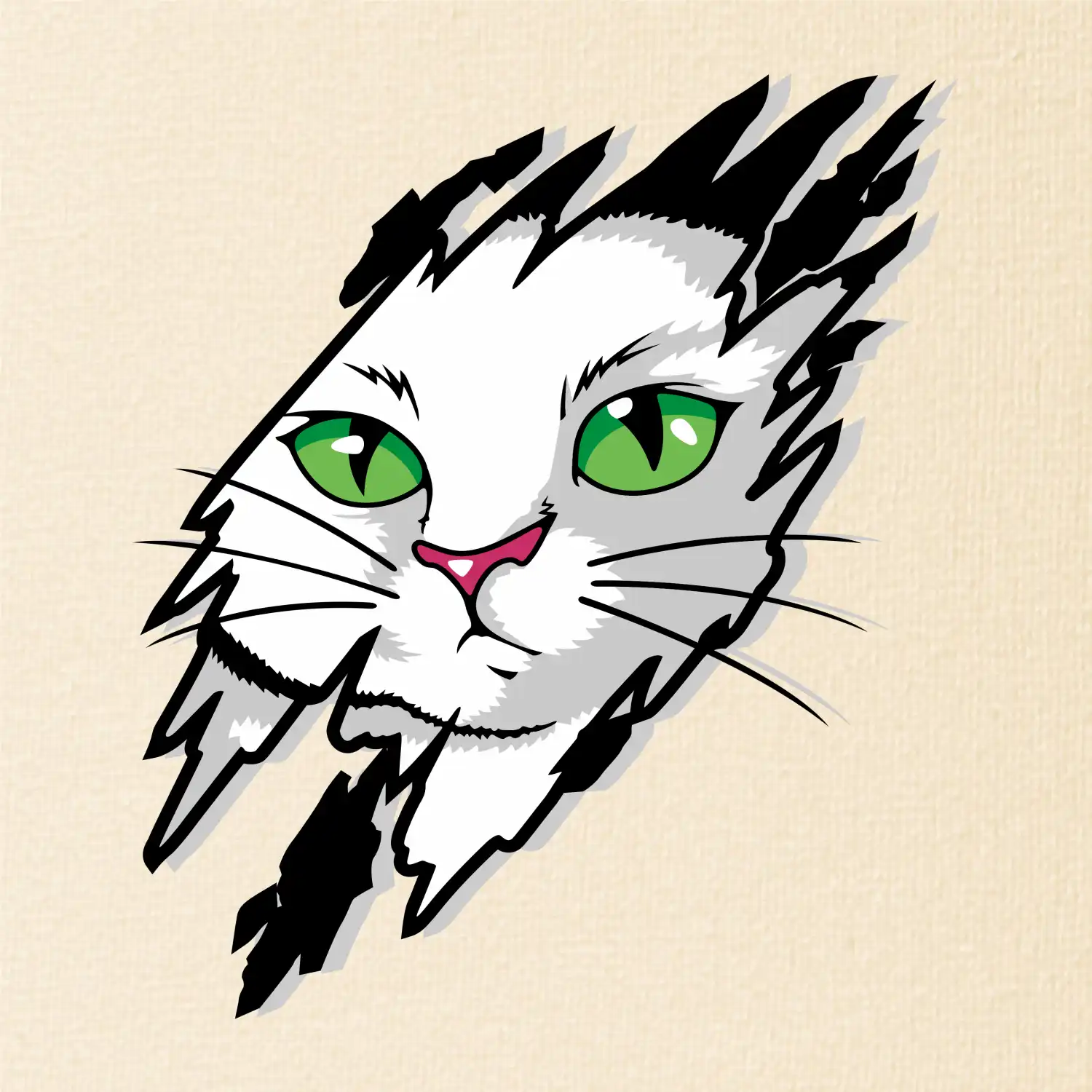 Kočka v roztrženém triku