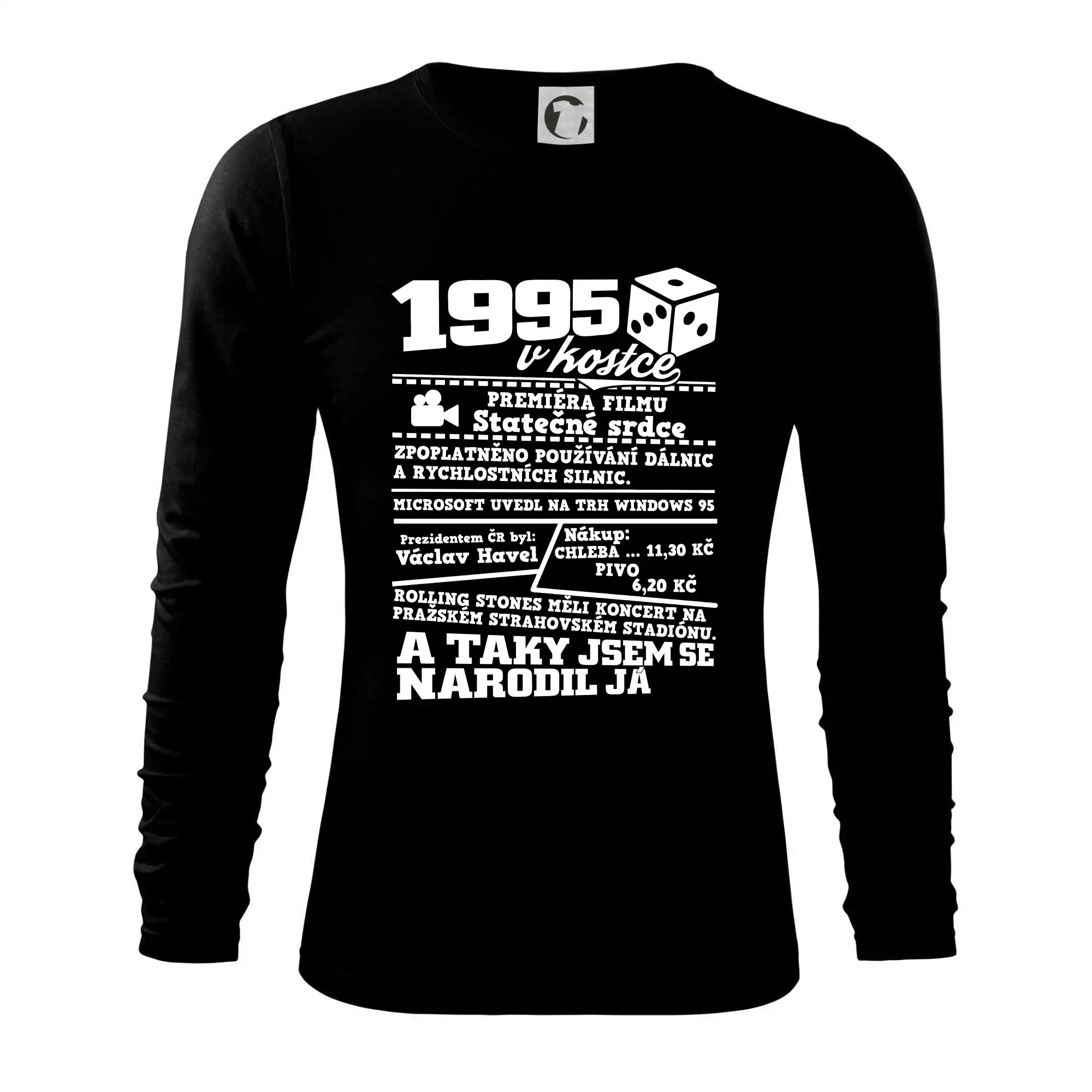 1995 v kostce