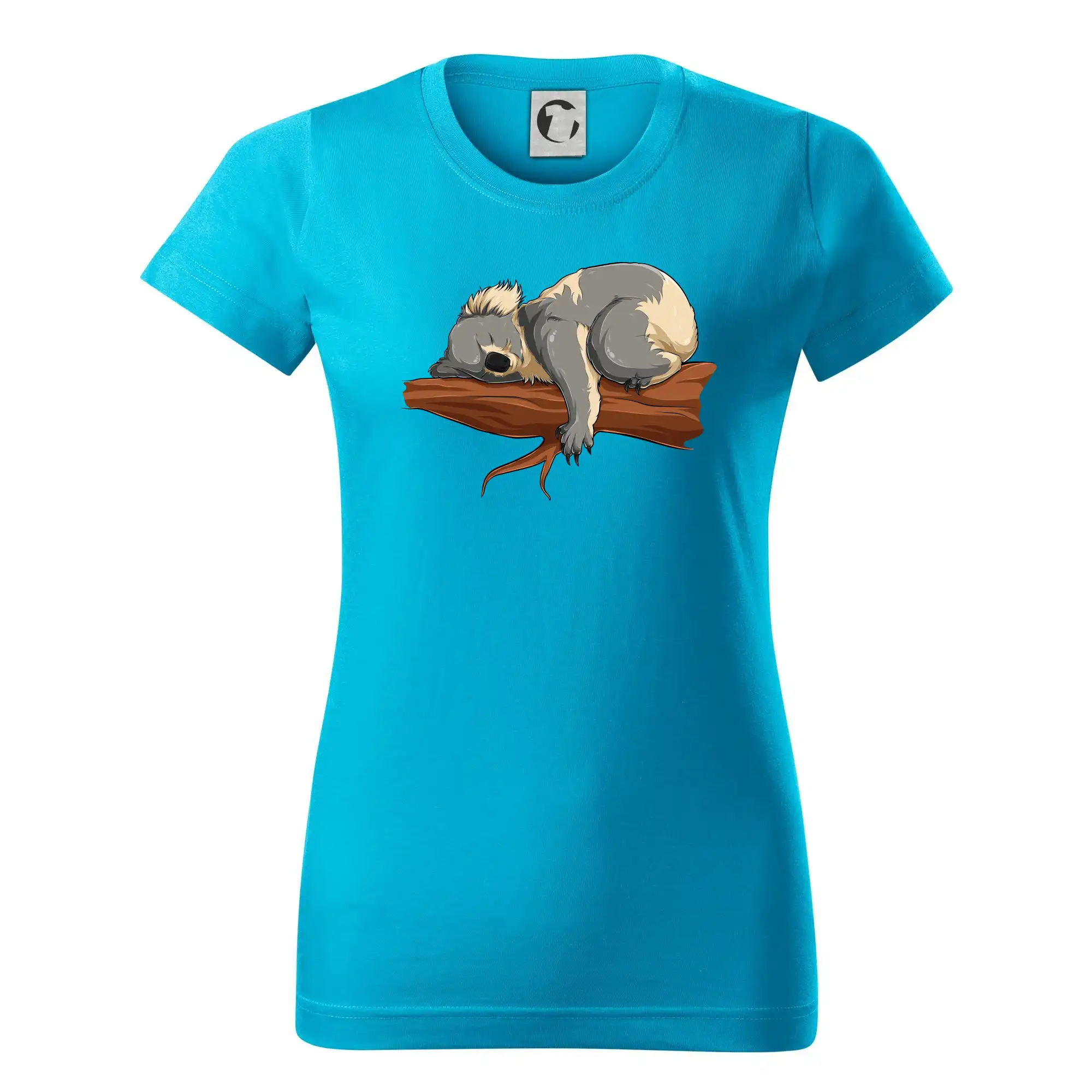 Koala na větvi