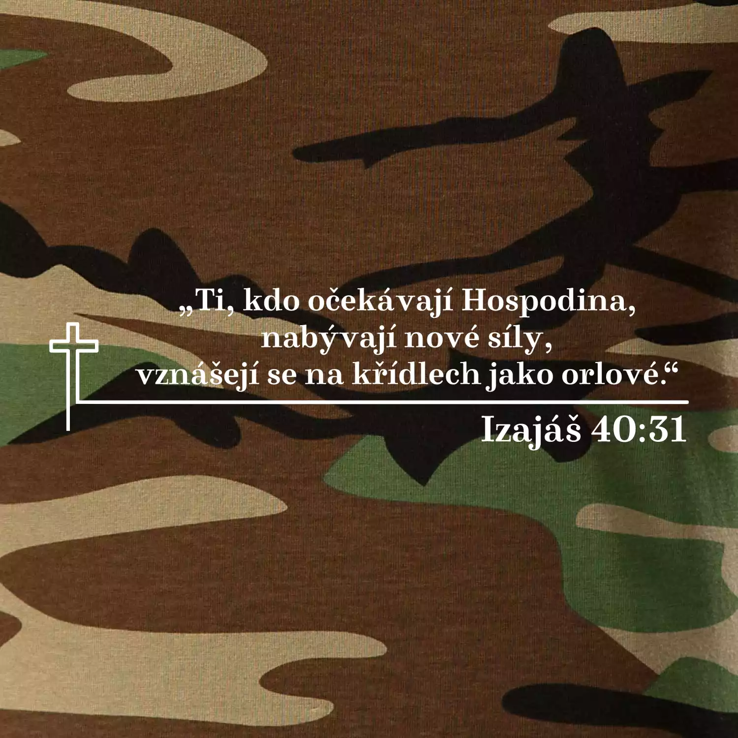 Citáty z bible - Izajáš 40:31