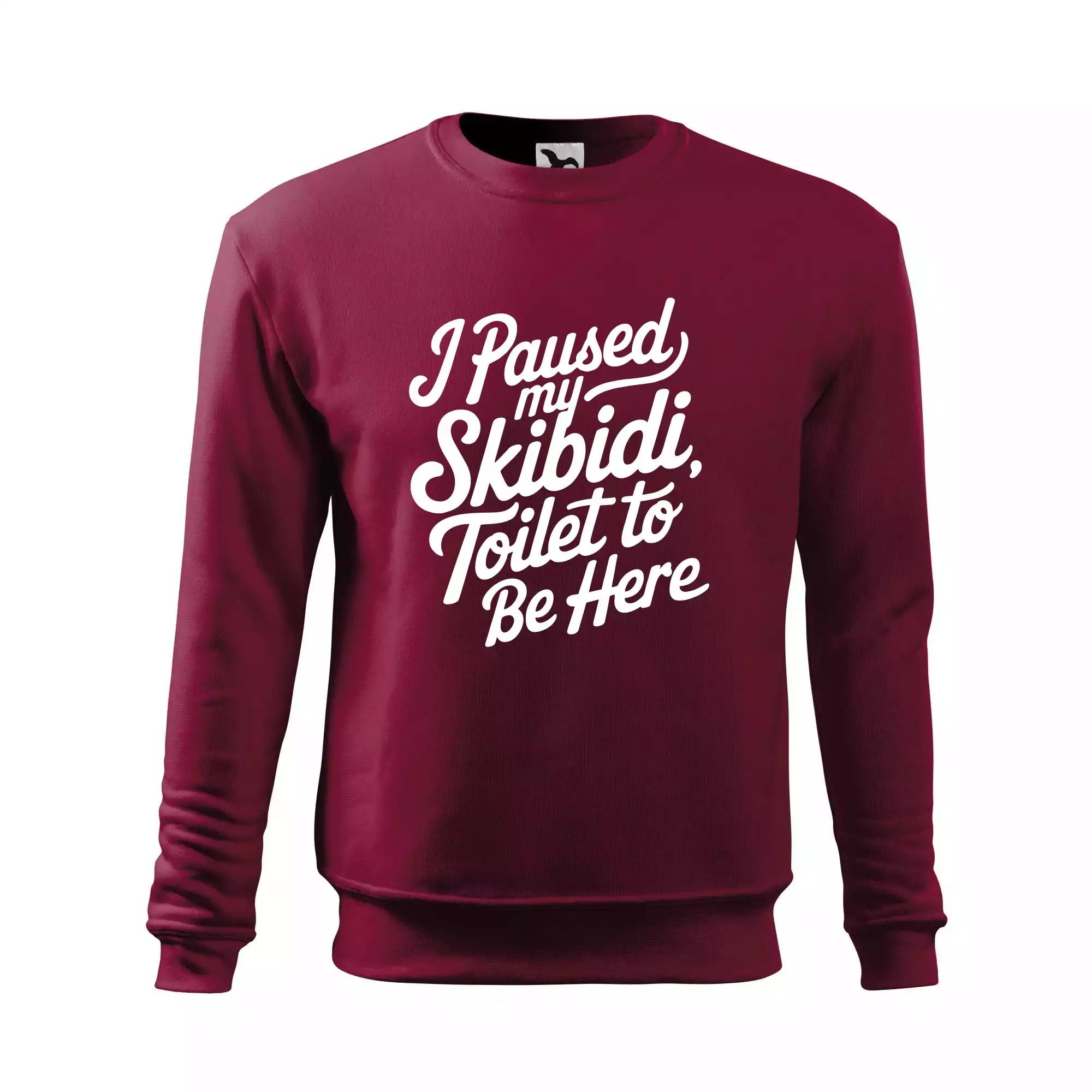 I Paused My Skibidi Toilet to be Here