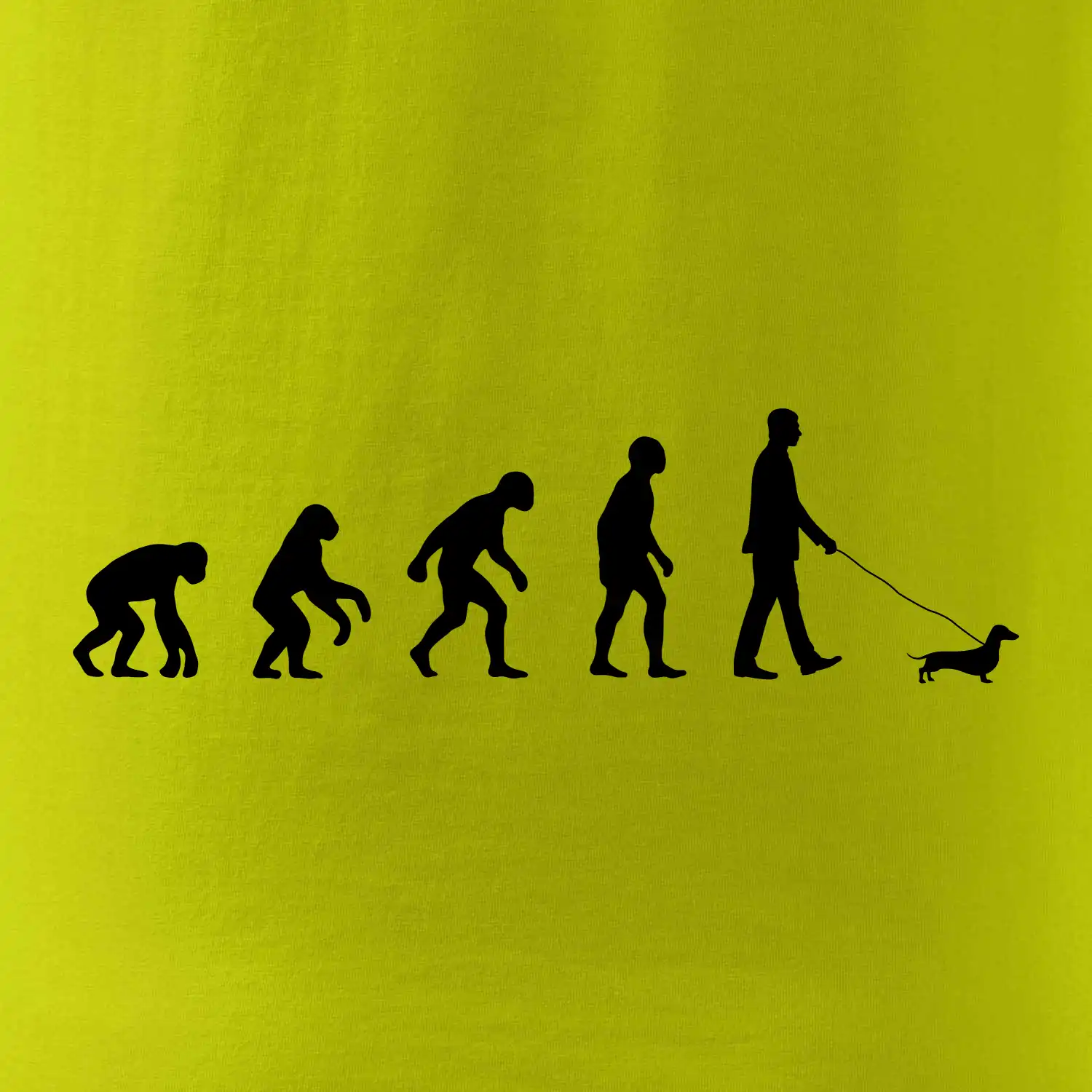 Jezevčík Evoluce muž / žena