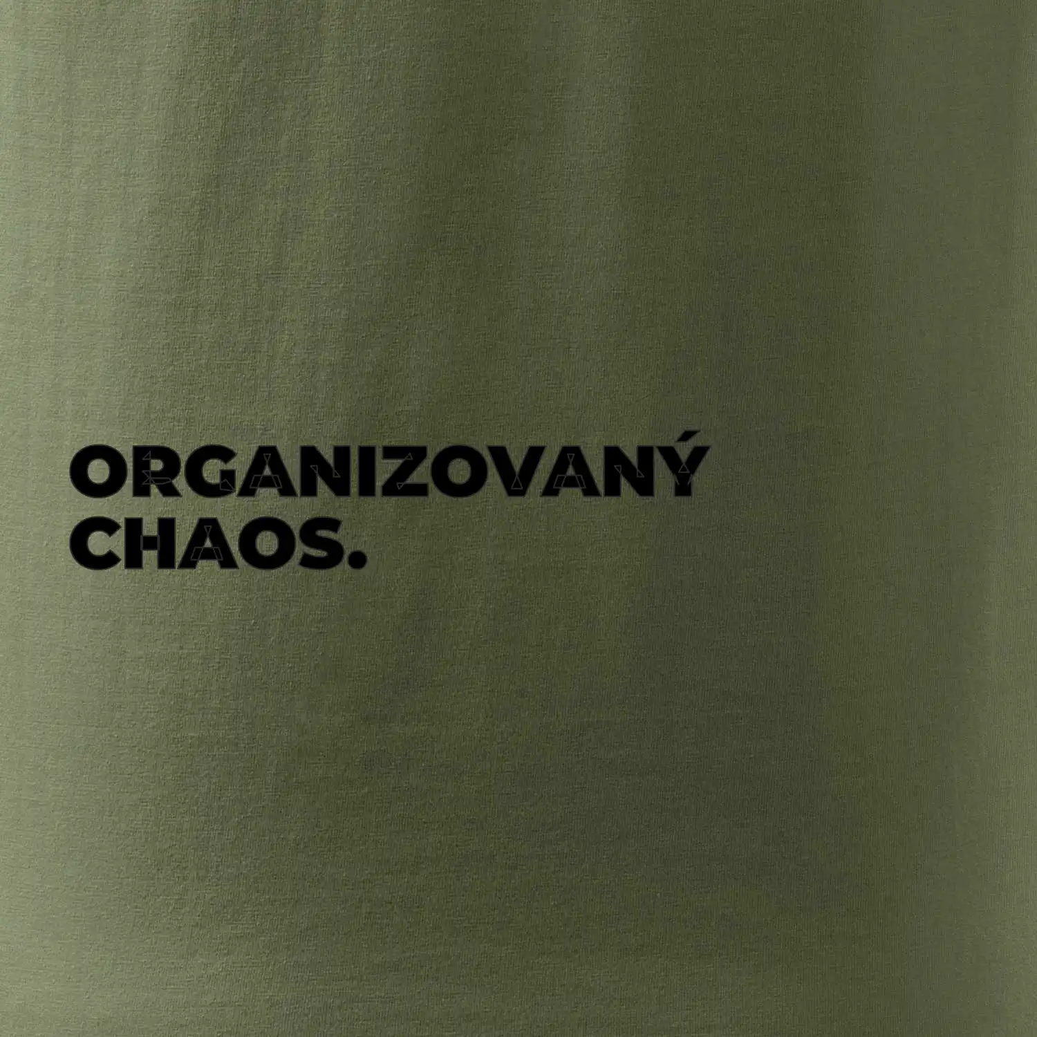 ORGANIZOVANÝ CHAOS.