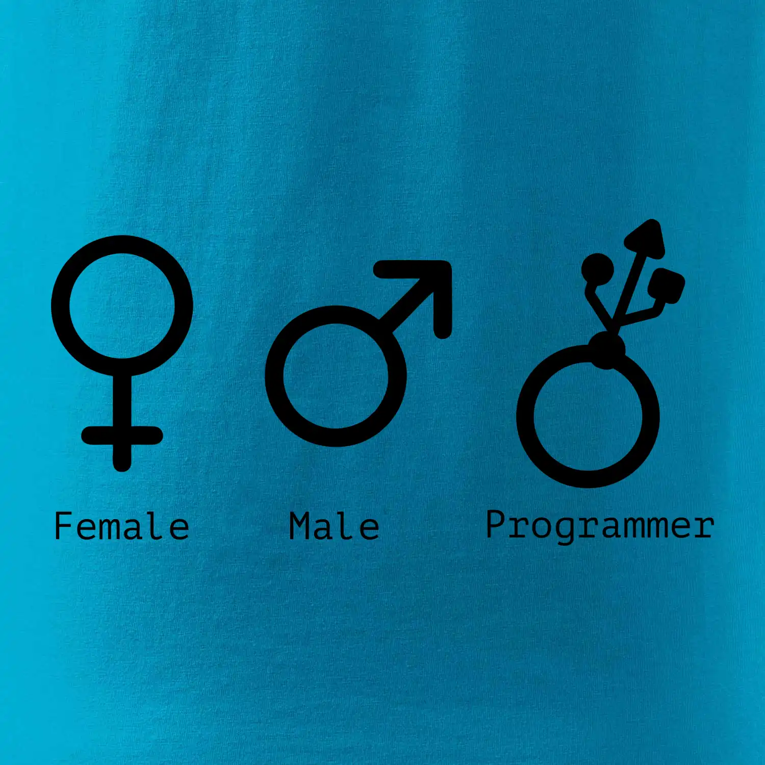 Female male programmer