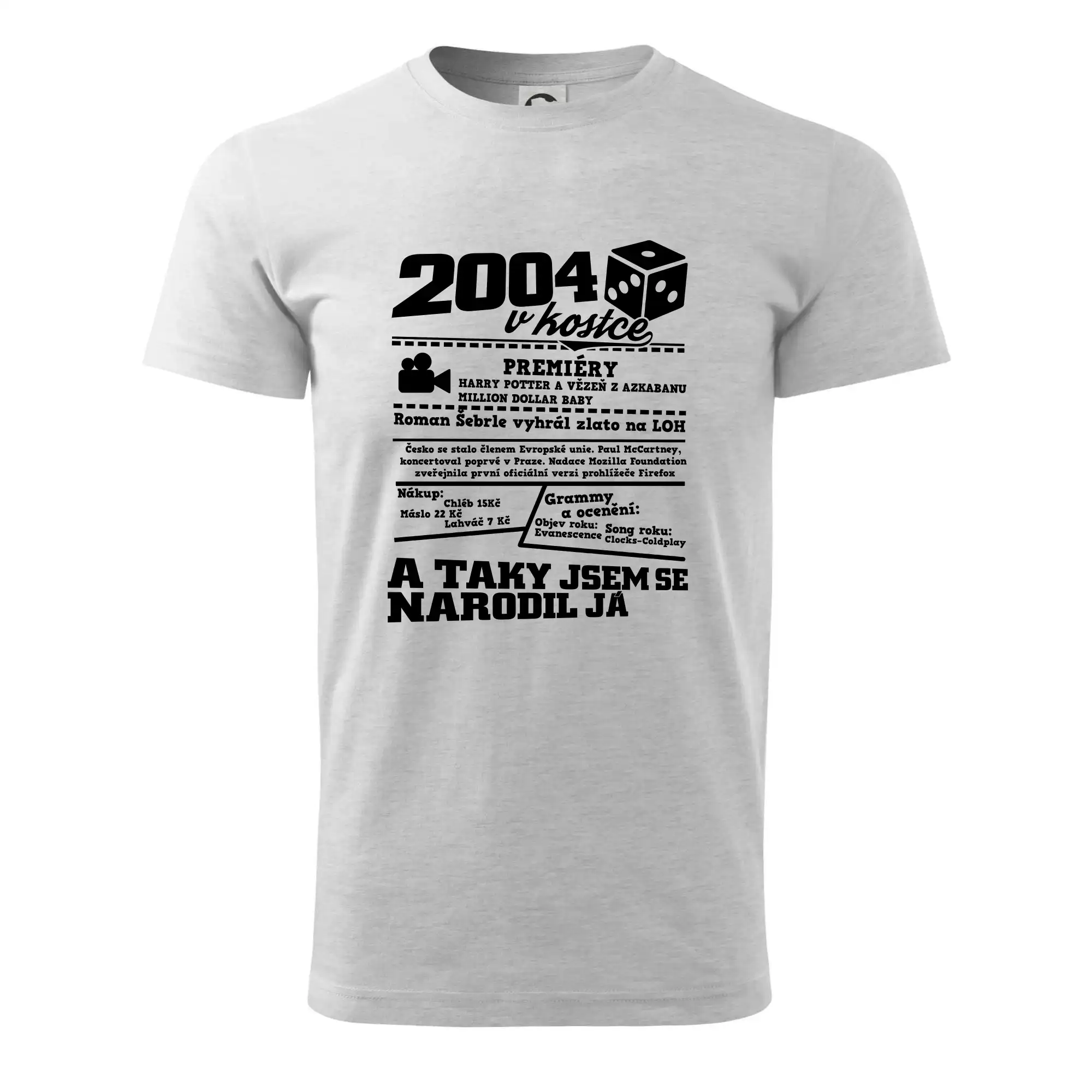 2004 v kostce