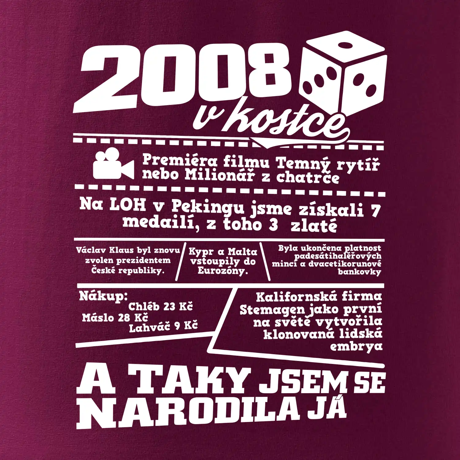 2008 v kostce
