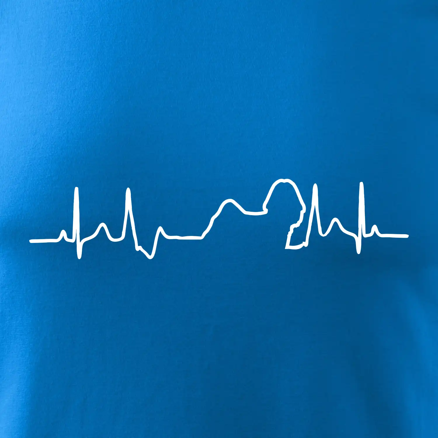 Shih-tzu ekg obrys