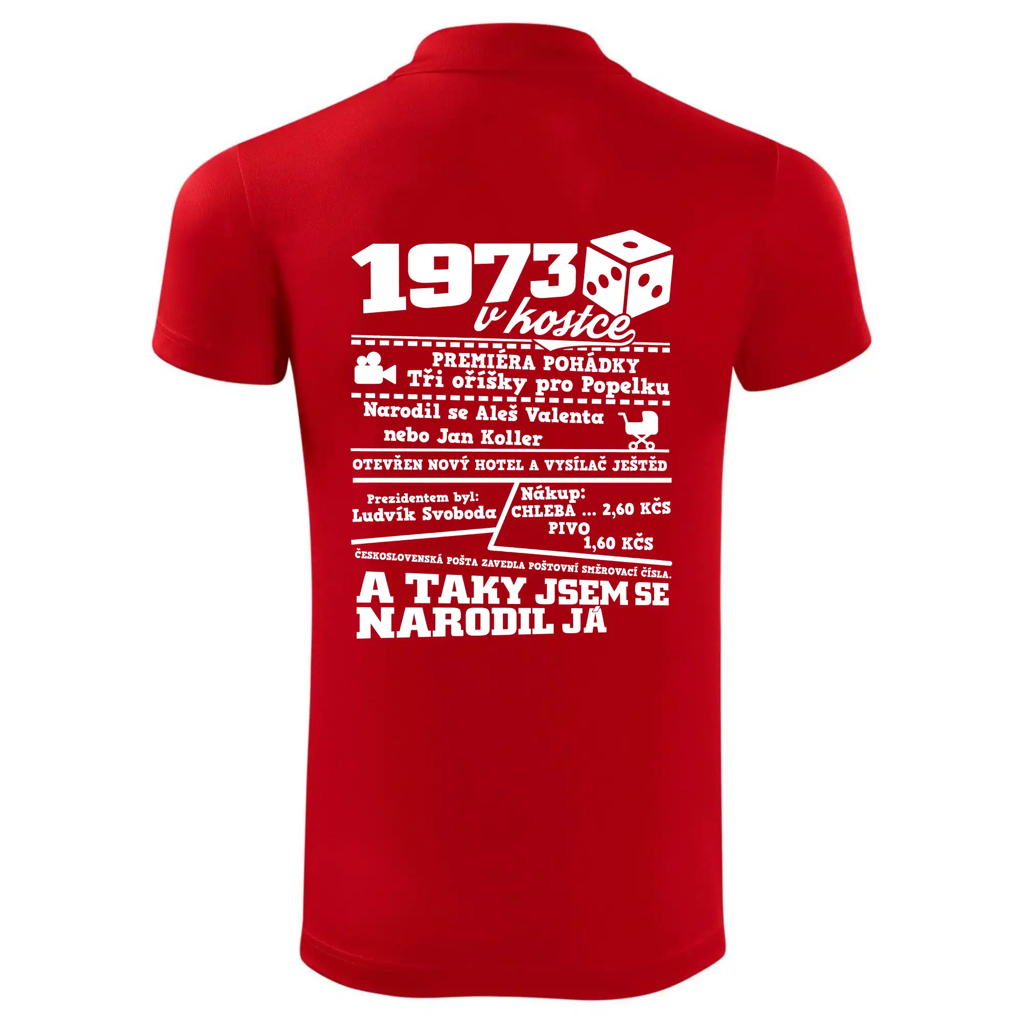 1973 v kostce