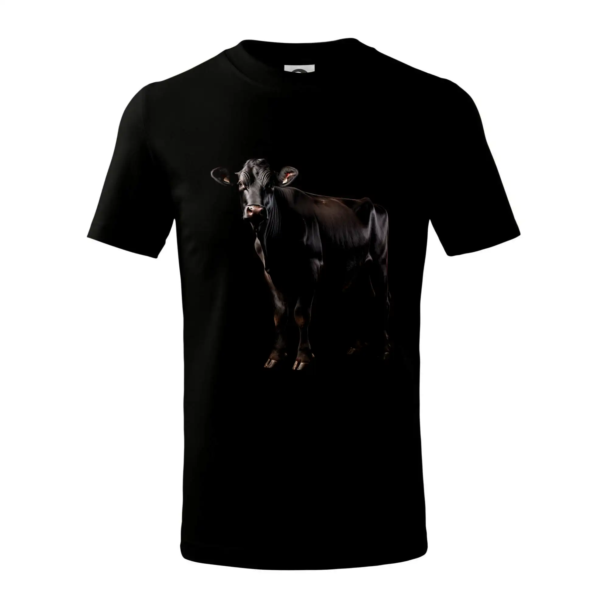 Černá kráva  černá fotka