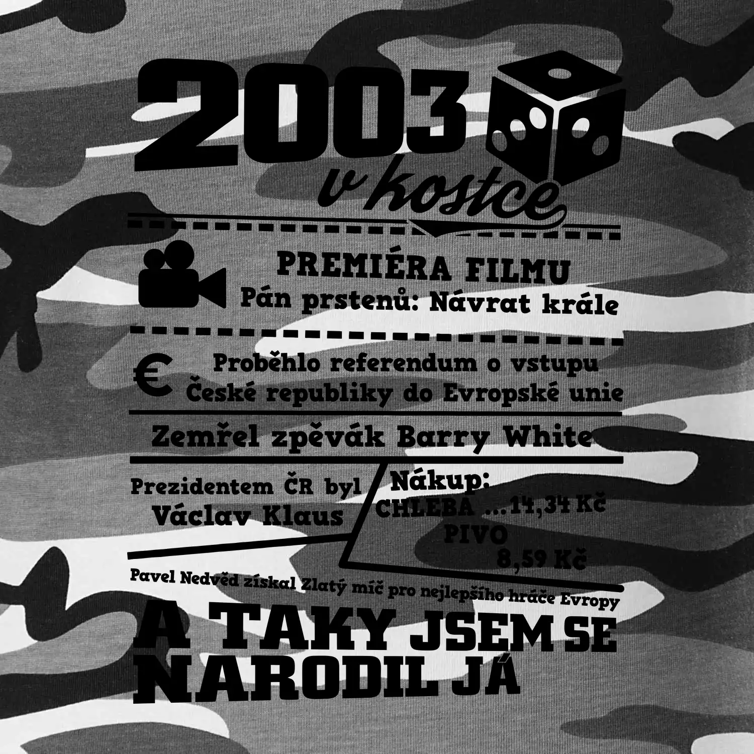 2003 v kostce