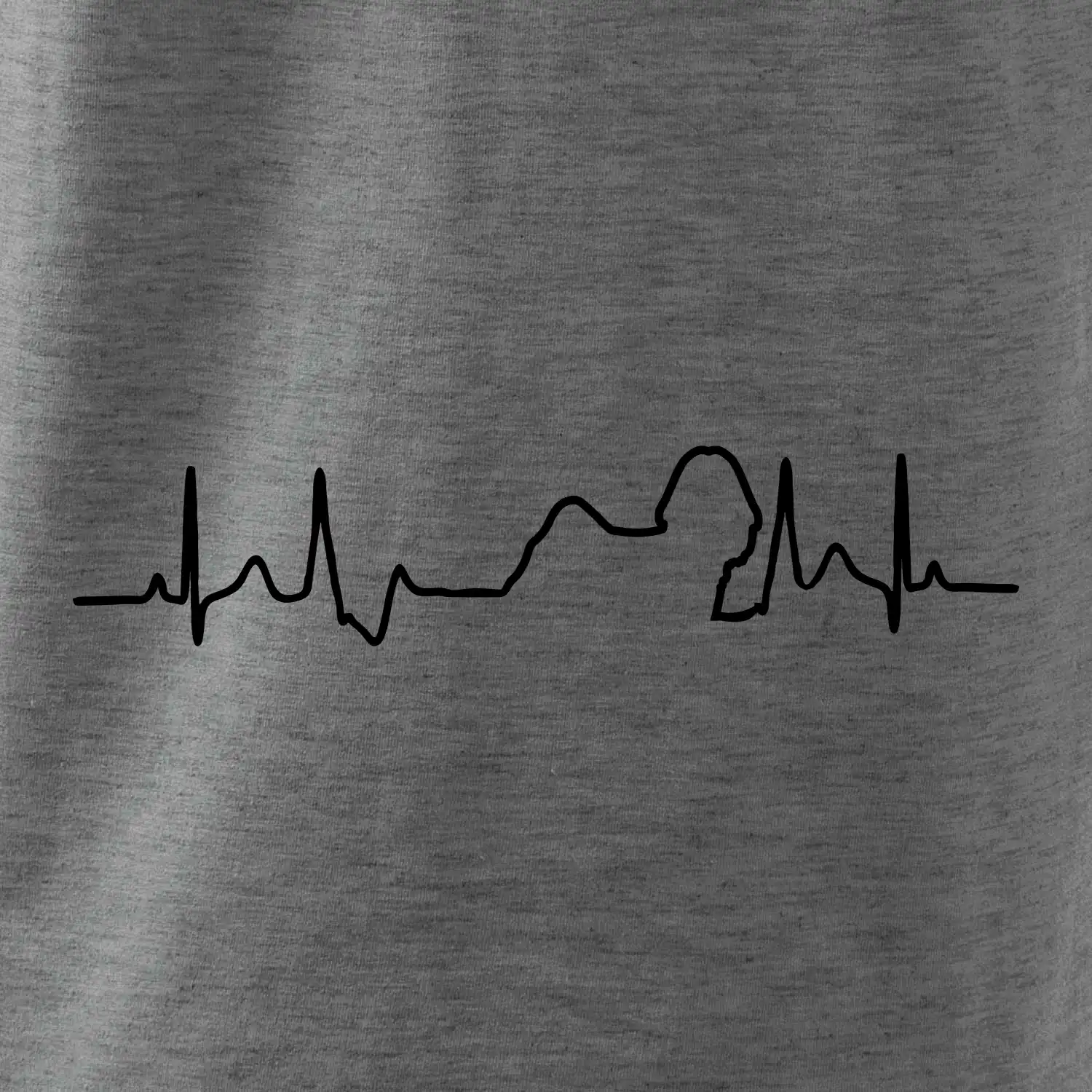 Shih-tzu ekg obrys