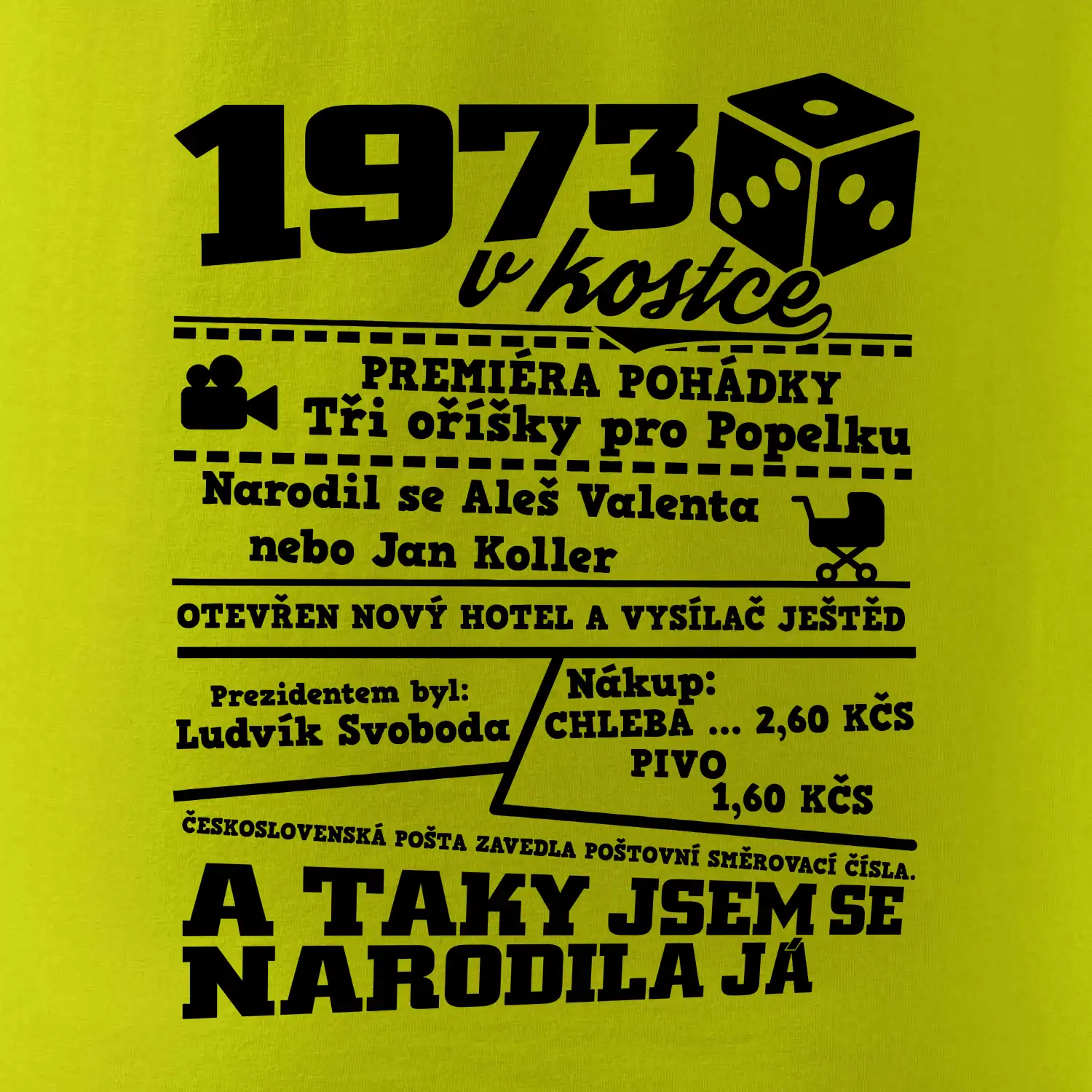 1973 v kostce