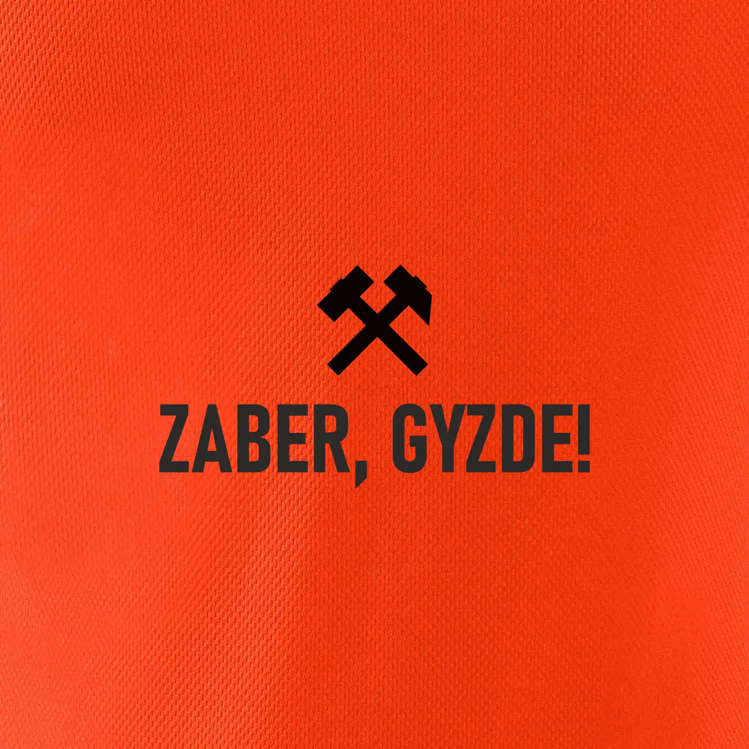 ZABER, GYZDE!﻿