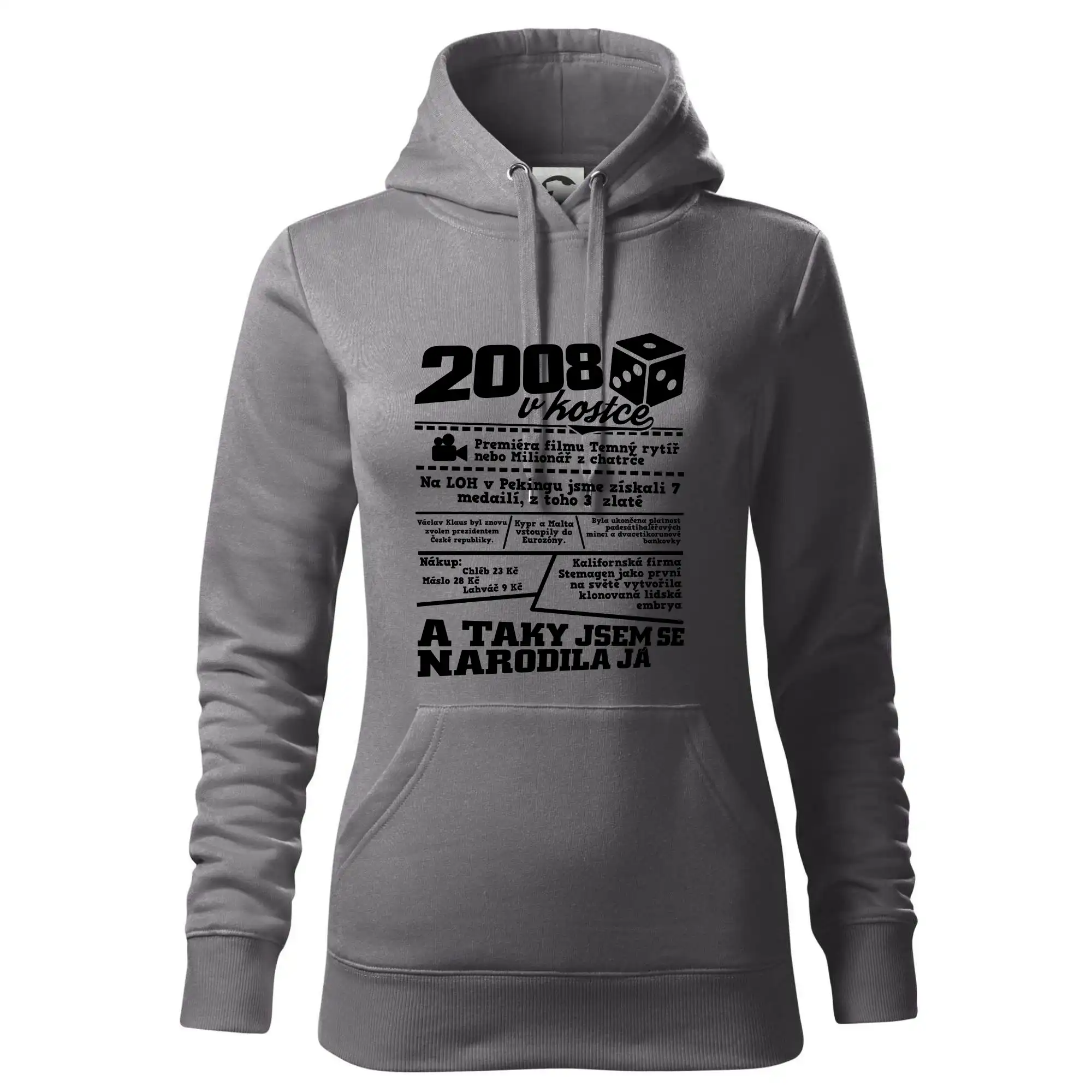 2008 v kostce