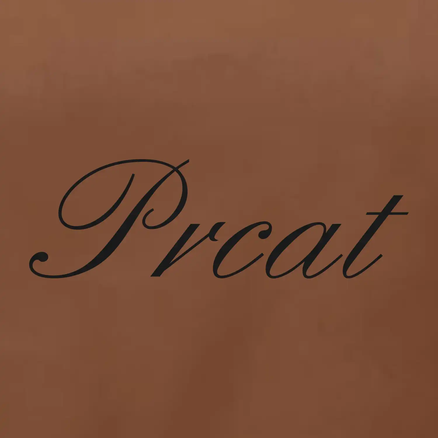 Prcat (souložit vulgárně)