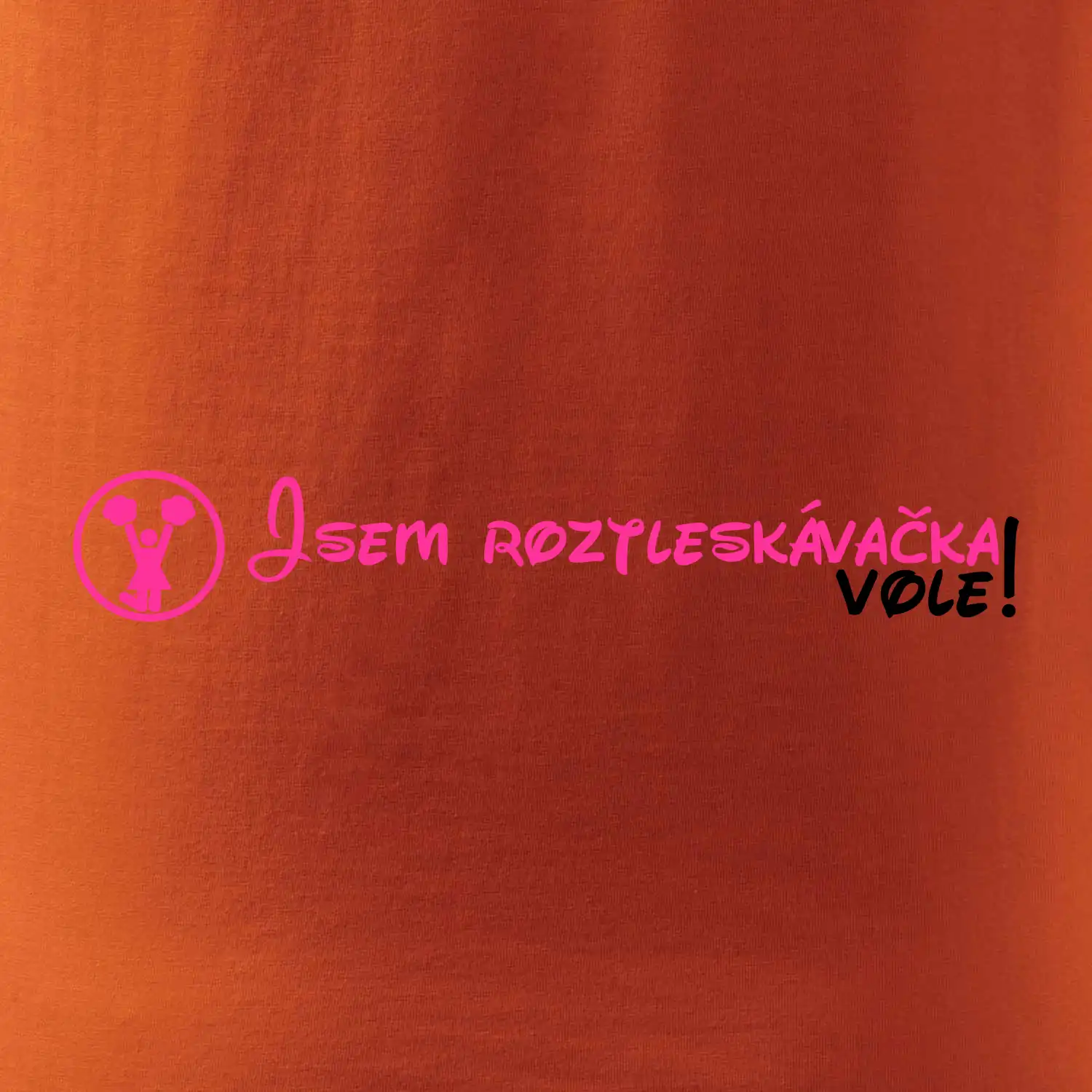 Jsem roztleskávačka! Vole!