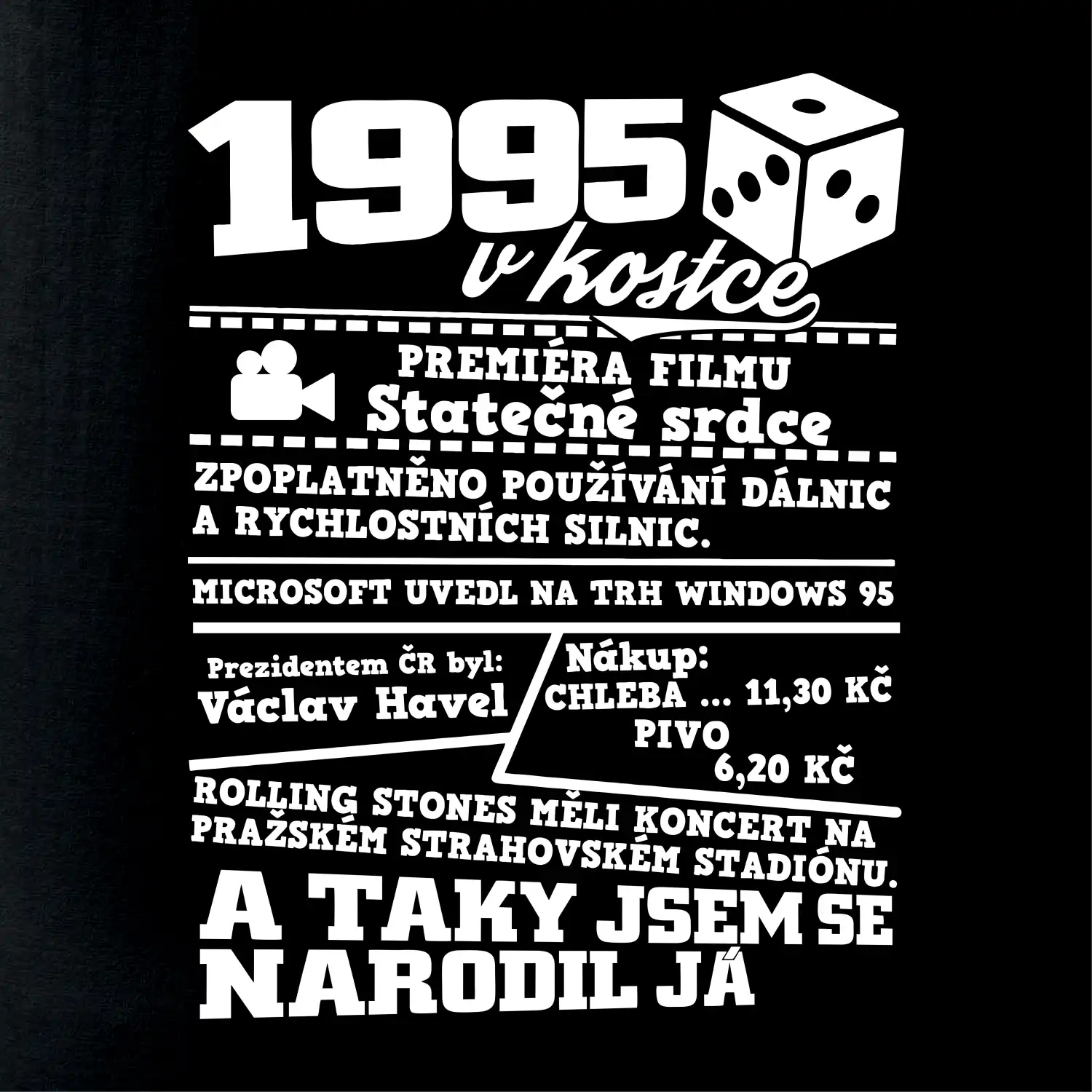 1995 v kostce