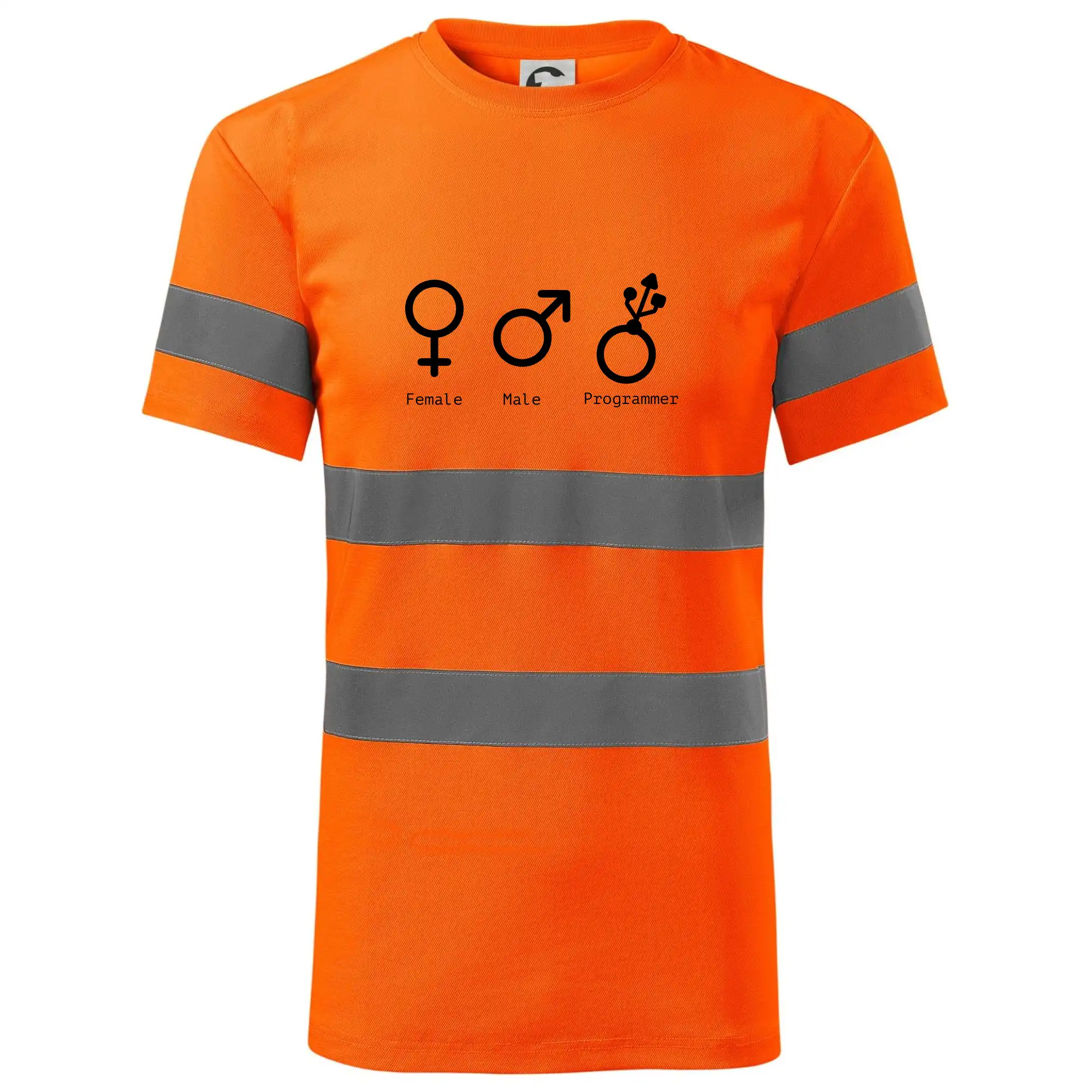 Female male programmer