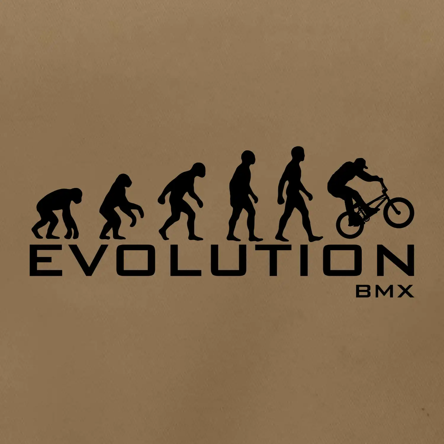 Evoluce BMX