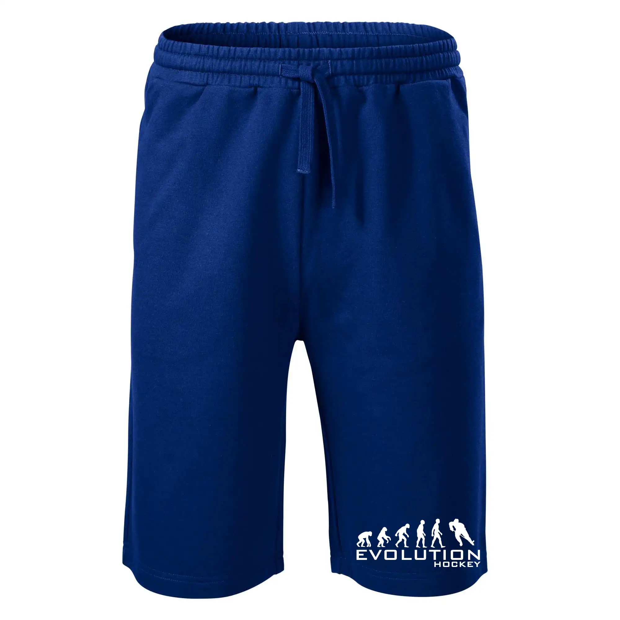 Evoluce Hockey - hráč