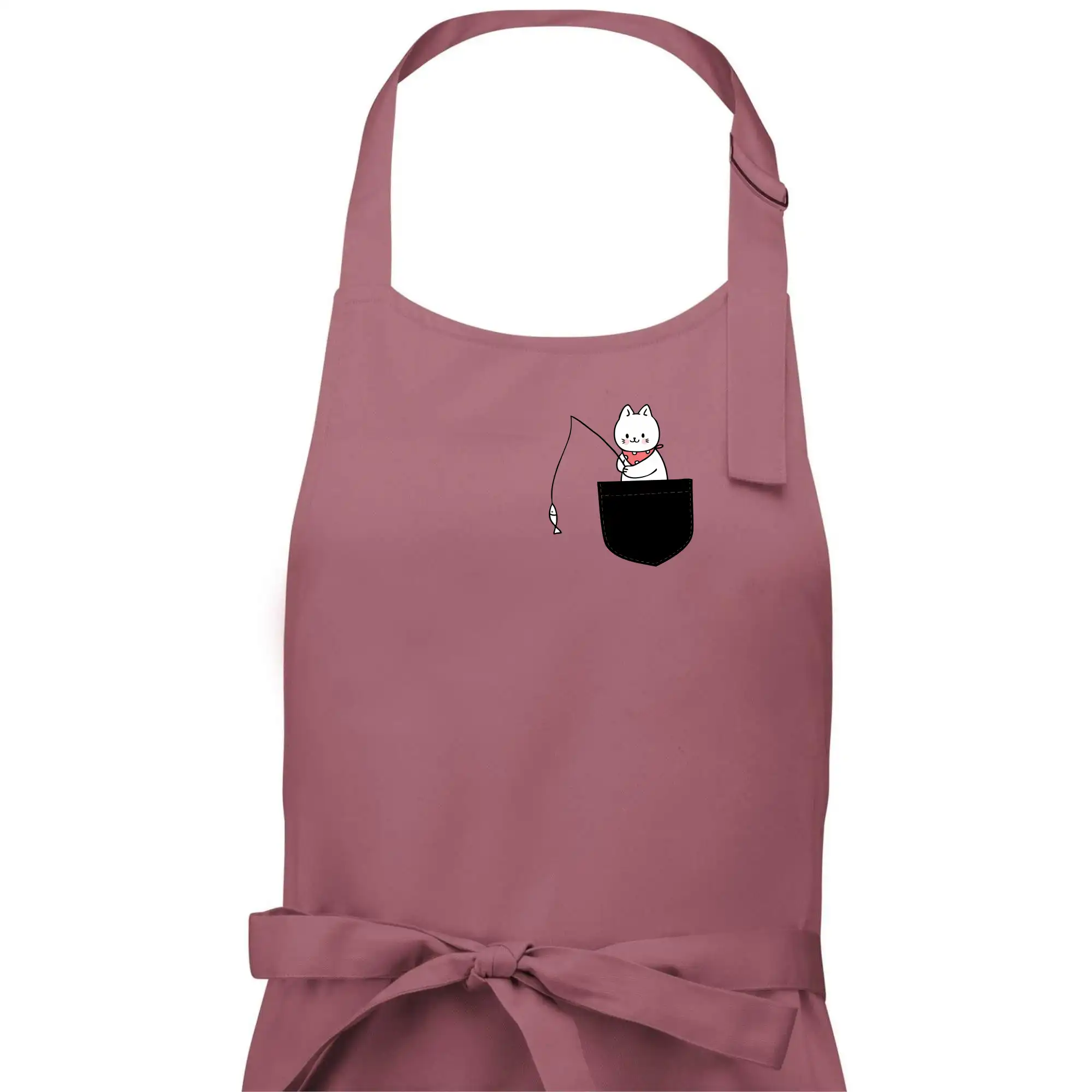 Kočka s rybou v kapse