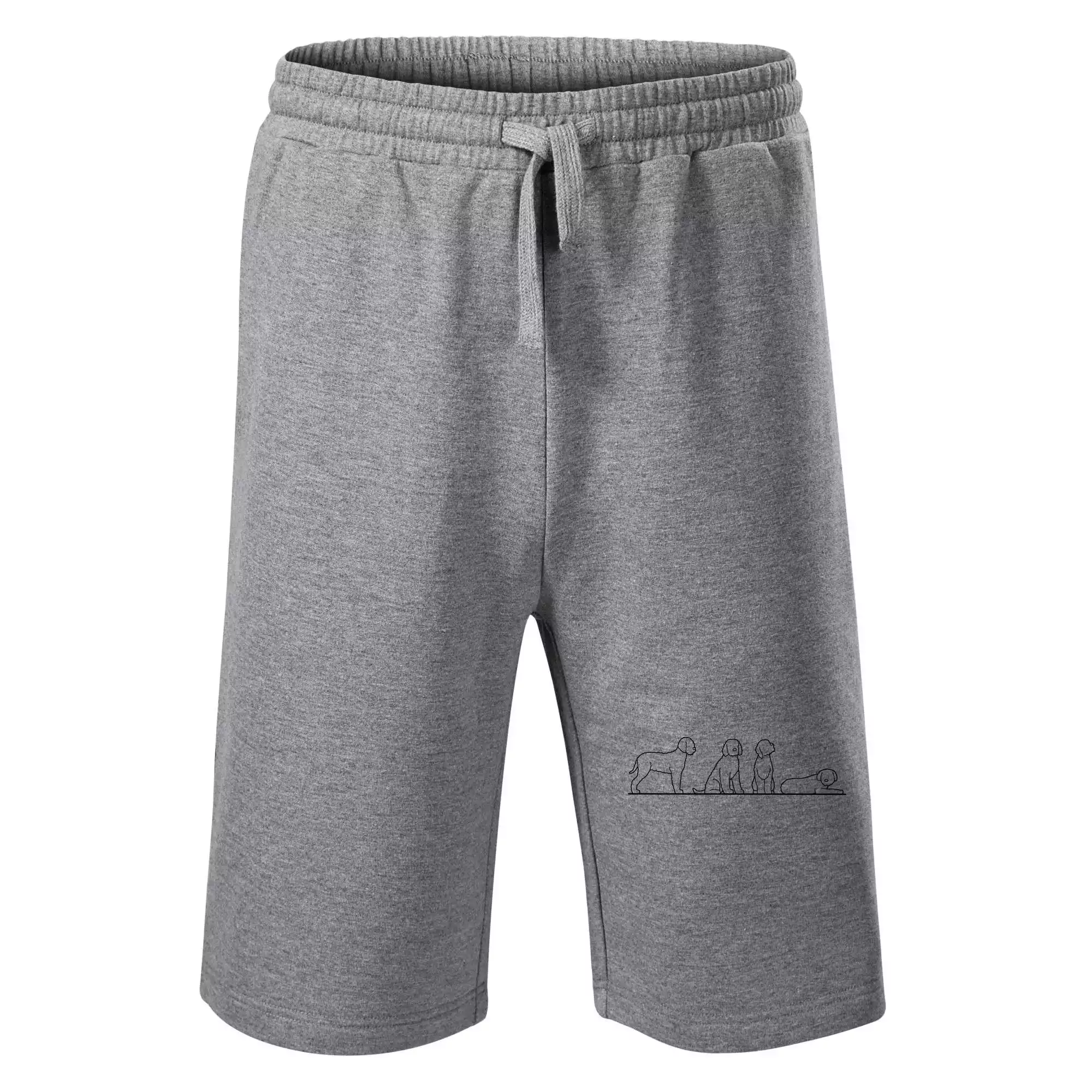 Lagotto romagnolo postavy linka