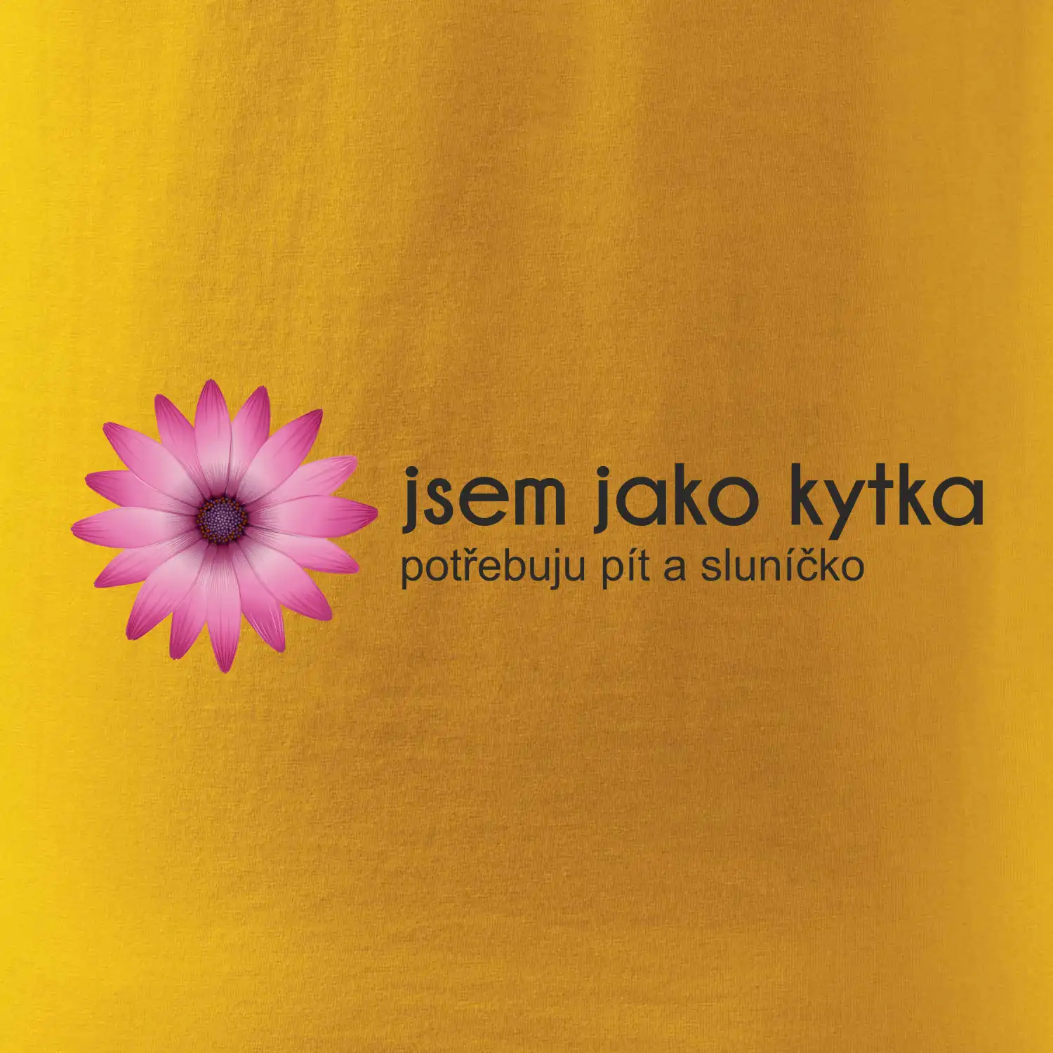 Jsem jako kytka potřebuju pít a sluníčko