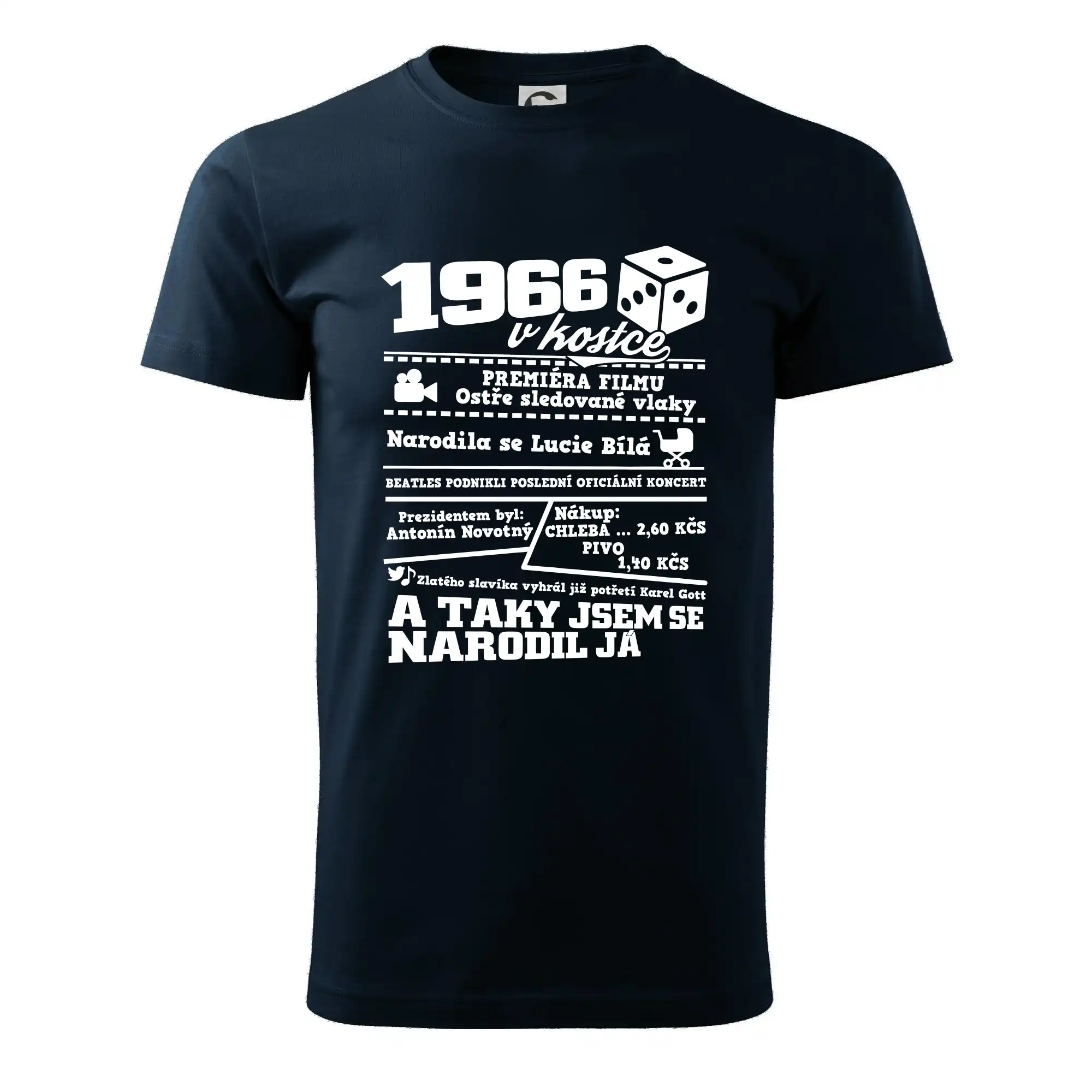 1966 v kostce