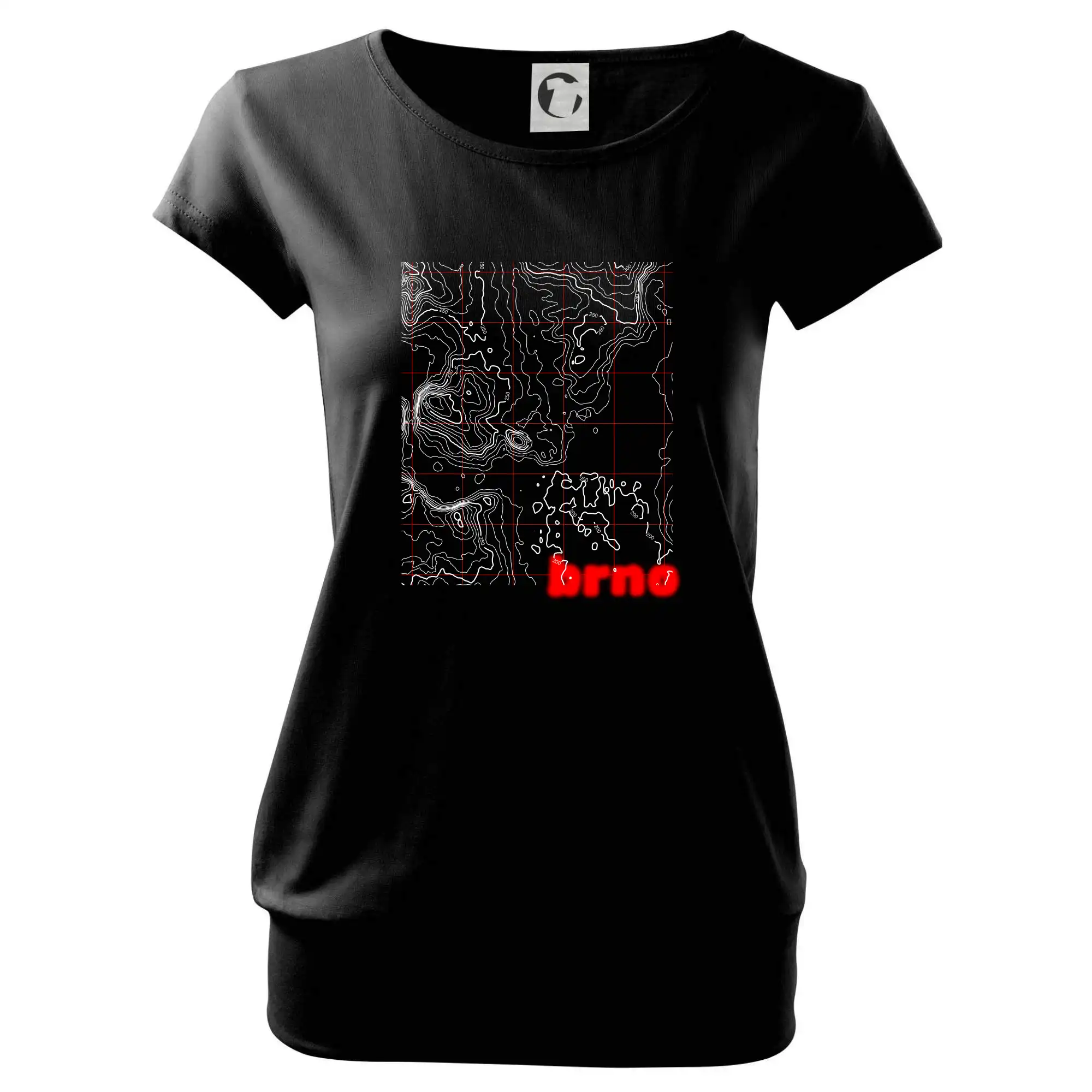 Brno - Vrstevnice měst