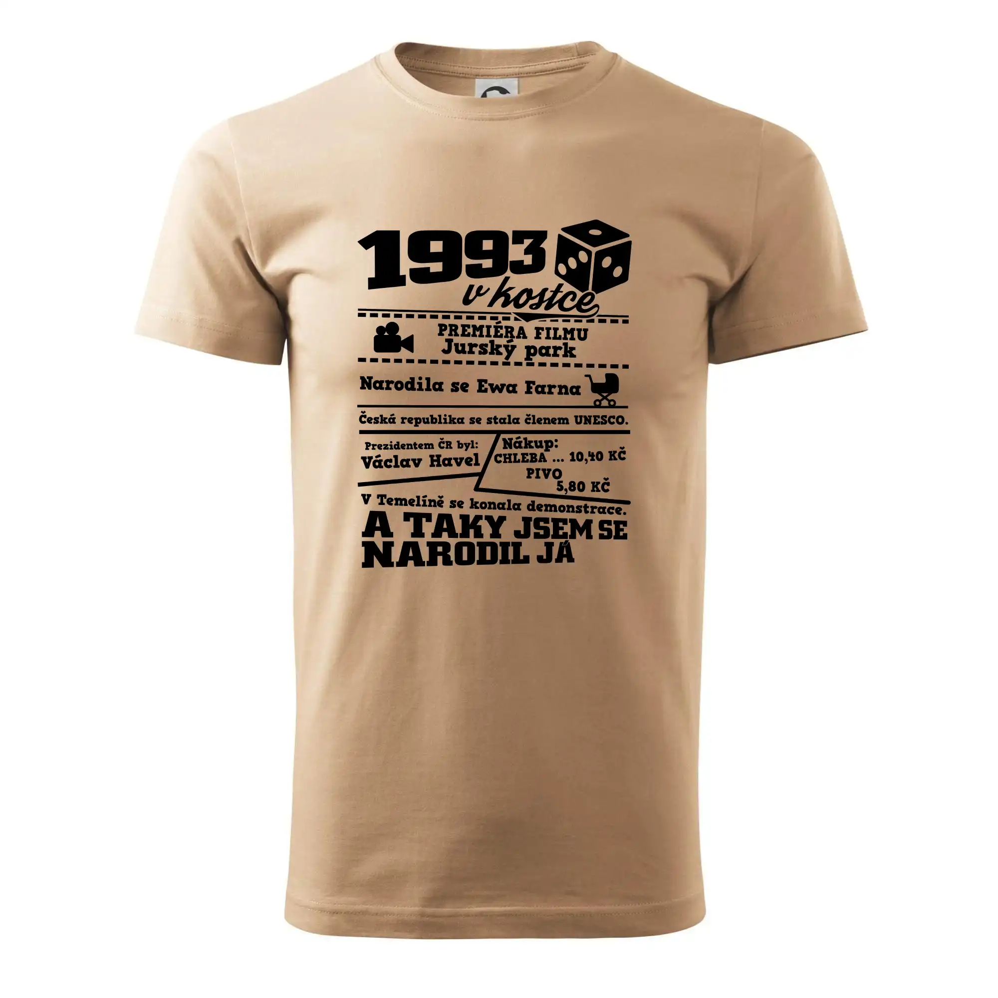 1993 v kostce