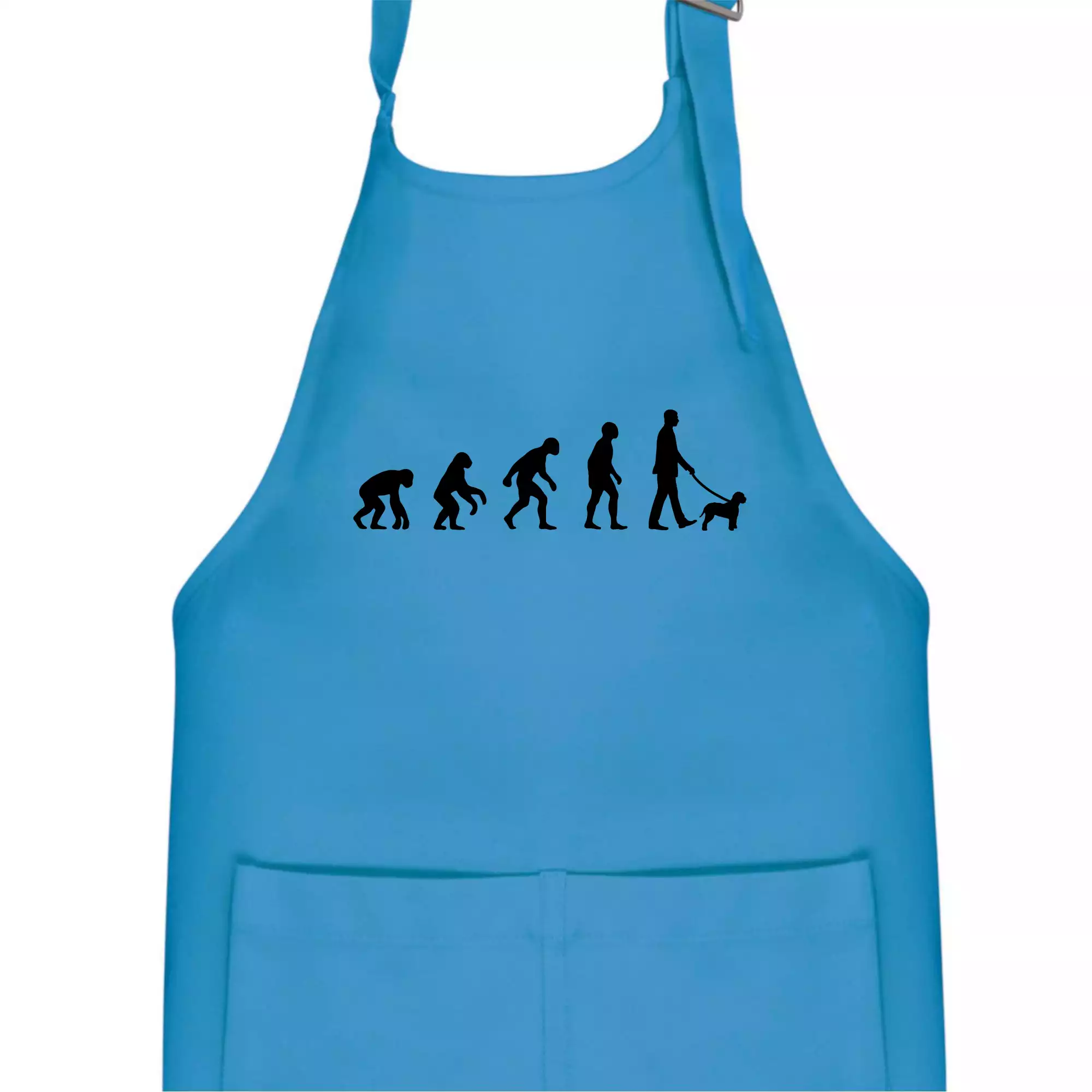 Lagotto romagnolo Evoluce muž / žena