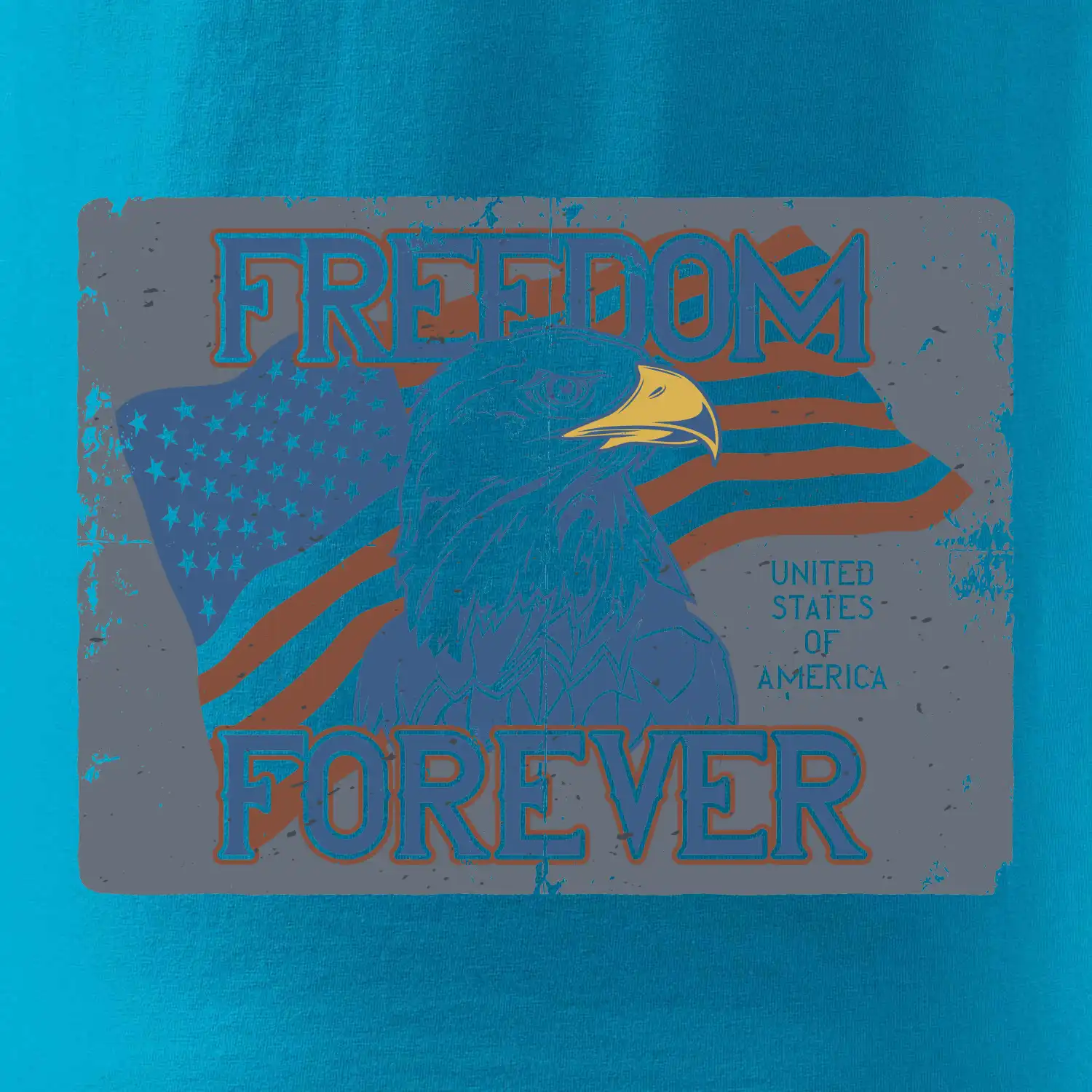 Freedom forever USA