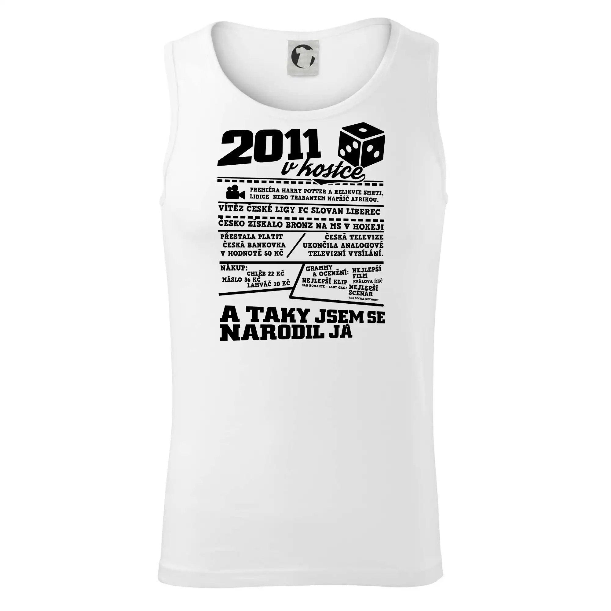 2011 v kostce