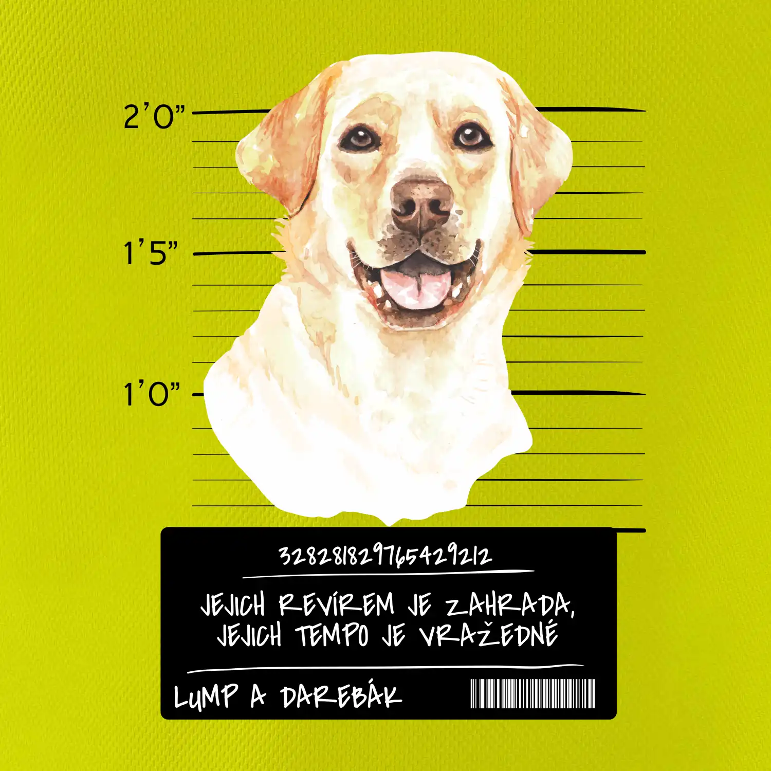 Lump a darebák labrador