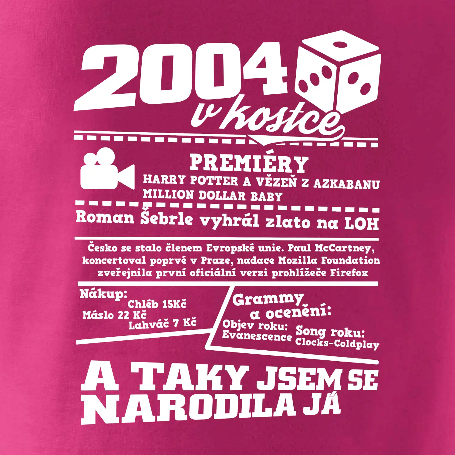 2004 v kostce